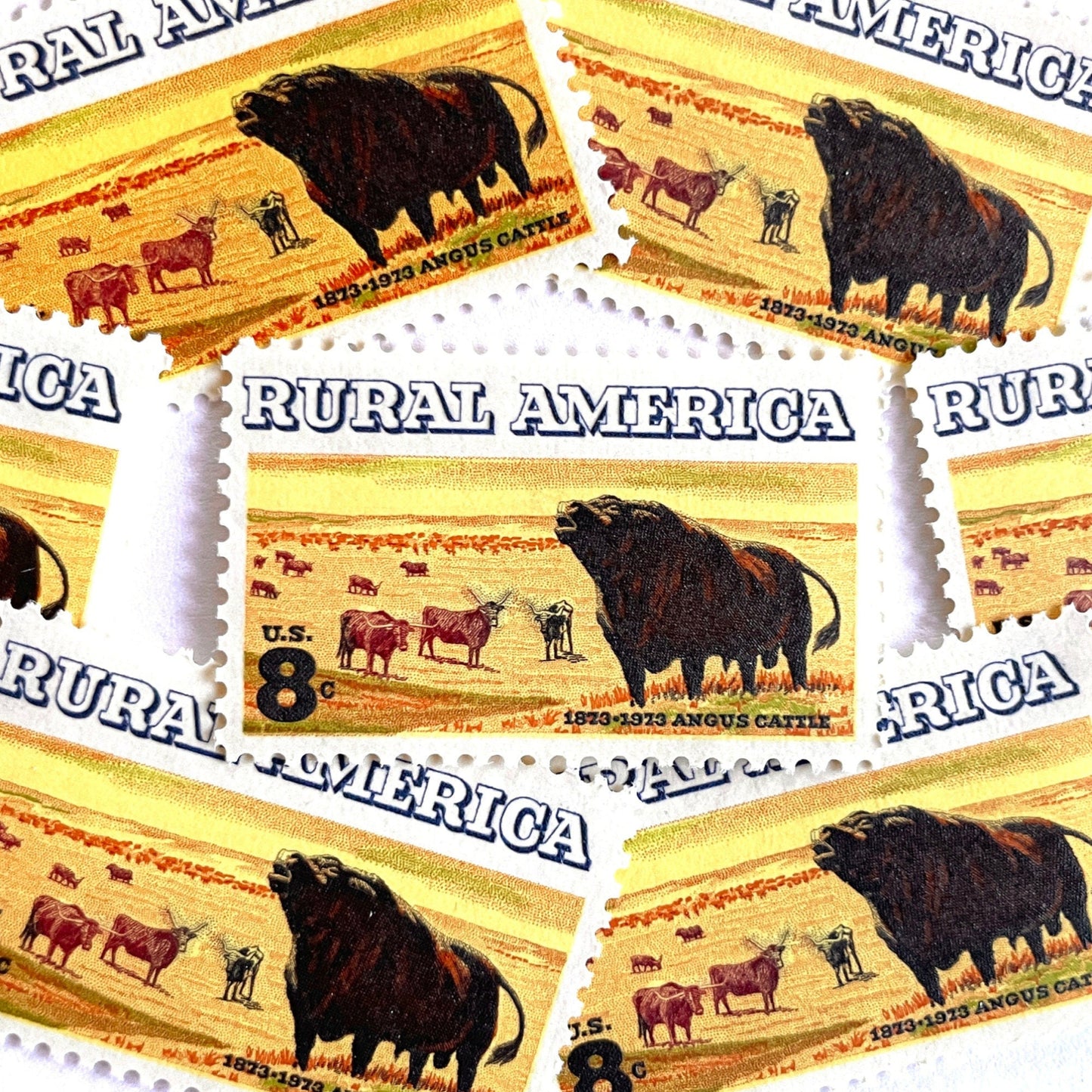 Image of 1973 Rural America Angus Cattle 8 cent stamps. Scott #1504. Stamp themes: Cattle, Livestock, Ranching, Farming, Range, Prairie, Rural America, Cowboy, Pasture Animals, Scottish Black Angus, Beef, Bull, Horns. Yellow postage stamp.