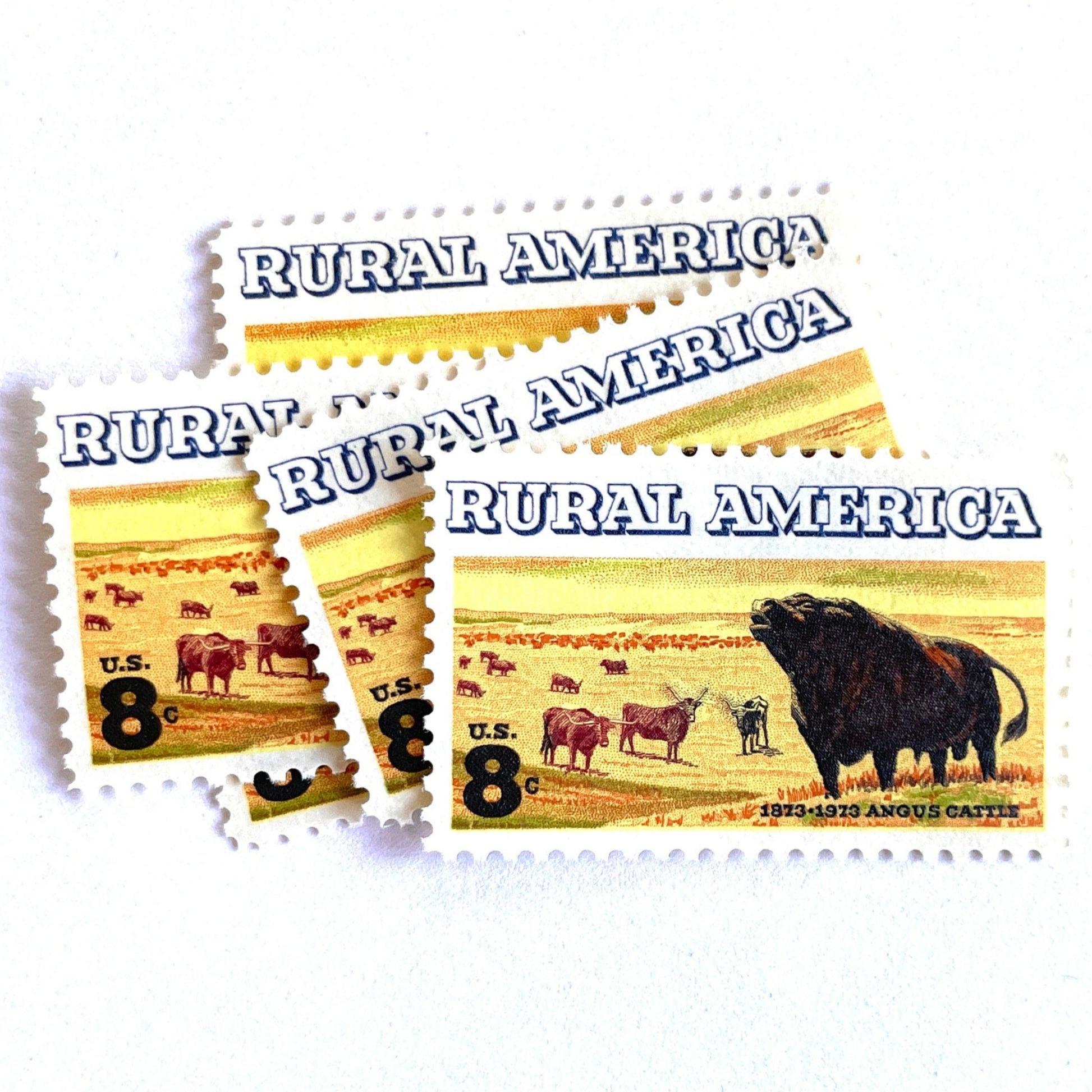 Image of 1973 Rural America Angus Cattle 8 cent stamps. Scott #1504. Stamp themes: Cattle, Livestock, Ranching, Farming, Range, Prairie, Rural America, Cowboy, Pasture Animals, Scottish Black Angus, Beef, Bull, Horns. Yellow postage stamp.