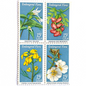 Image of four 15 cent Endangered Flora Se-Tenant 1993 Wildflower postage stamps. Scott #1783-86. Stamp themes: Endangered species, Endangered flora, Vulnerable, Extinct, Extinction, Environmental, Preservation, Ecology, Hawaiian Wild Broadbean or Hawaiian Vetch, Contra Costa Wallflower, Persistent Trillium, Antioch Dunes Evening Primrose. Blue postage stamp.
