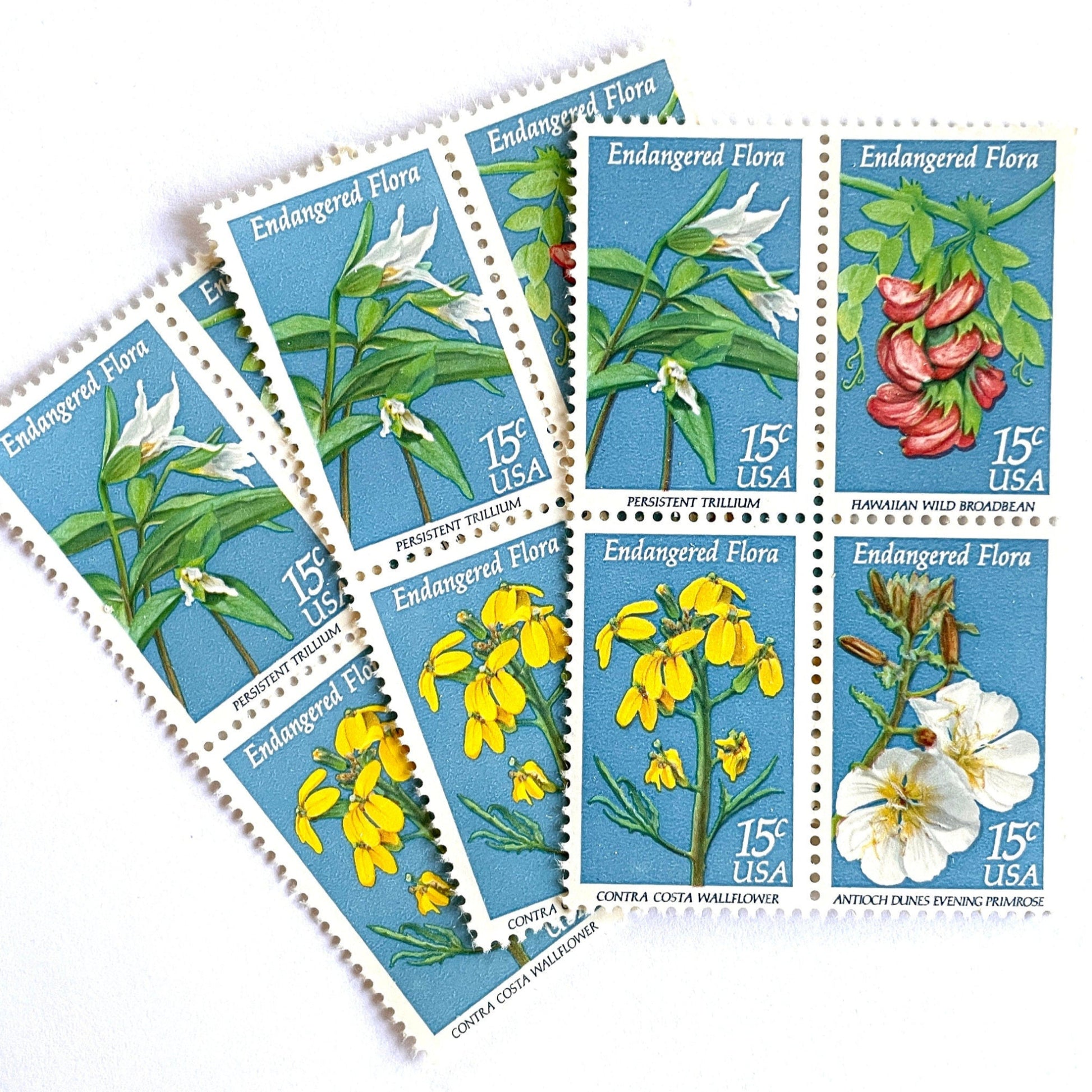 Image of four 15 cent Endangered Flora Se-Tenant 1993 Wildflower postage stamps. Scott #1783-86. Stamp themes: Endangered species, Endangered flora, Vulnerable, Extinct, Extinction, Environmental, Preservation, Ecology, Hawaiian Wild Broadbean or Hawaiian Vetch, Contra Costa Wallflower, Persistent Trillium, Antioch Dunes Evening Primrose. Blue postage stamp.