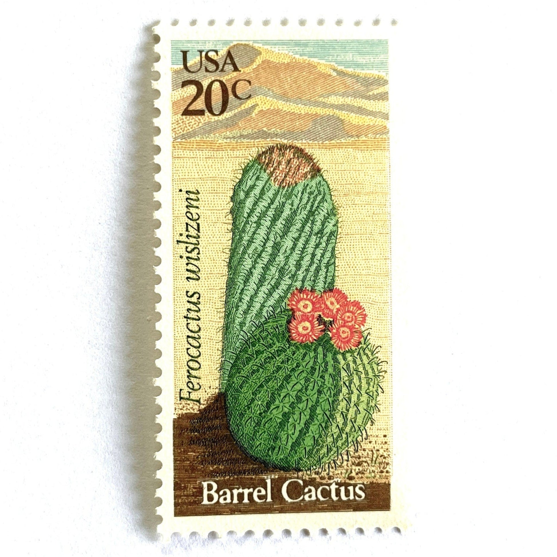 Image of Barrel Cactus postage stamps from the 1981 Desert Plants series, featuring a green cactus with yellow and brown Southwestern botanical artwork on vintage unused 20-cent USPS postage, Scott 1942.
