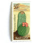 Image of Barrel Cactus postage stamps from the 1981 Desert Plants series, featuring a green cactus with yellow and brown Southwestern botanical artwork on vintage unused 20-cent USPS postage, Scott 1942.