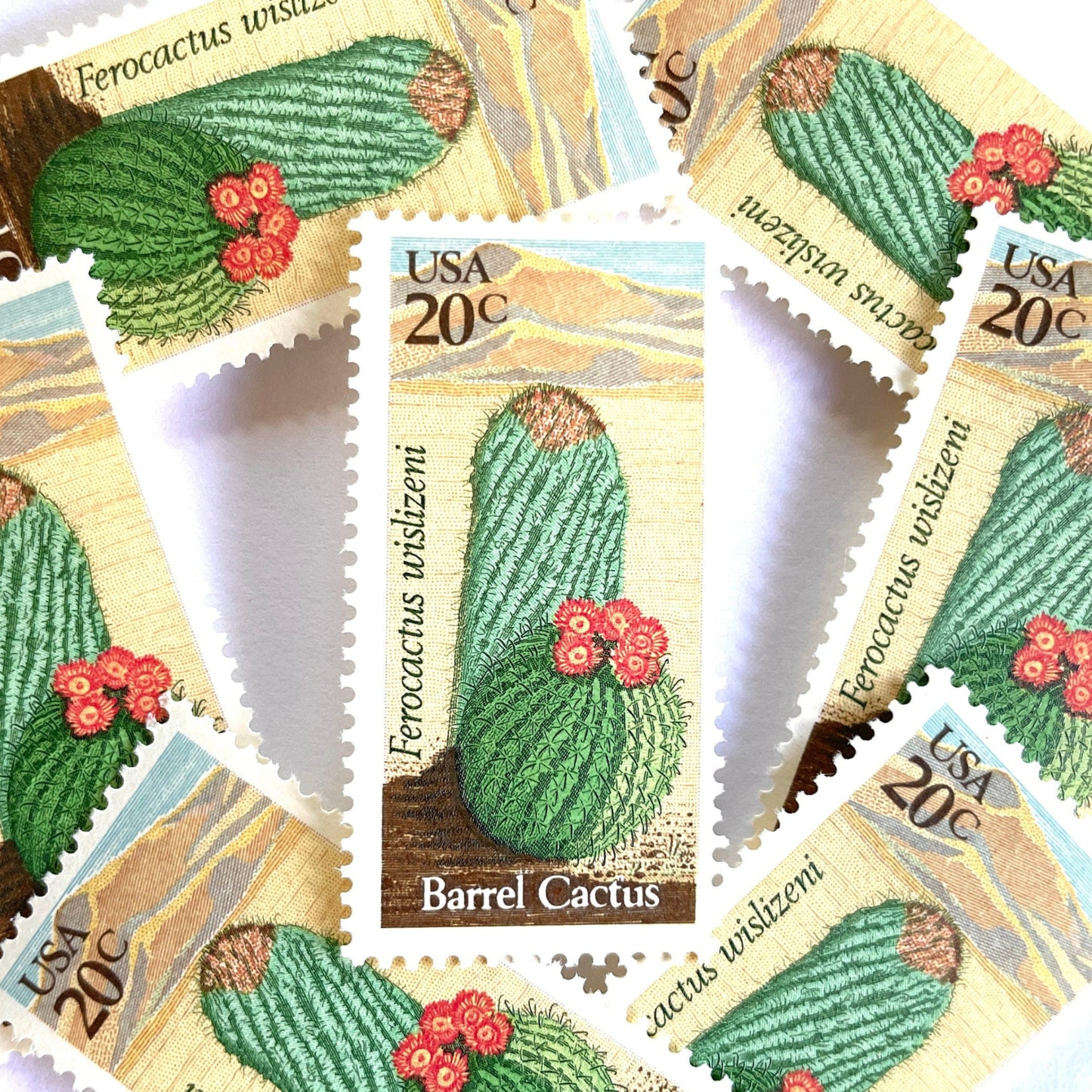 Image of Barrel Cactus postage stamps from the 1981 Desert Plants series, featuring a green cactus with yellow and brown Southwestern botanical artwork on vintage unused 20-cent USPS postage, Scott 1942.