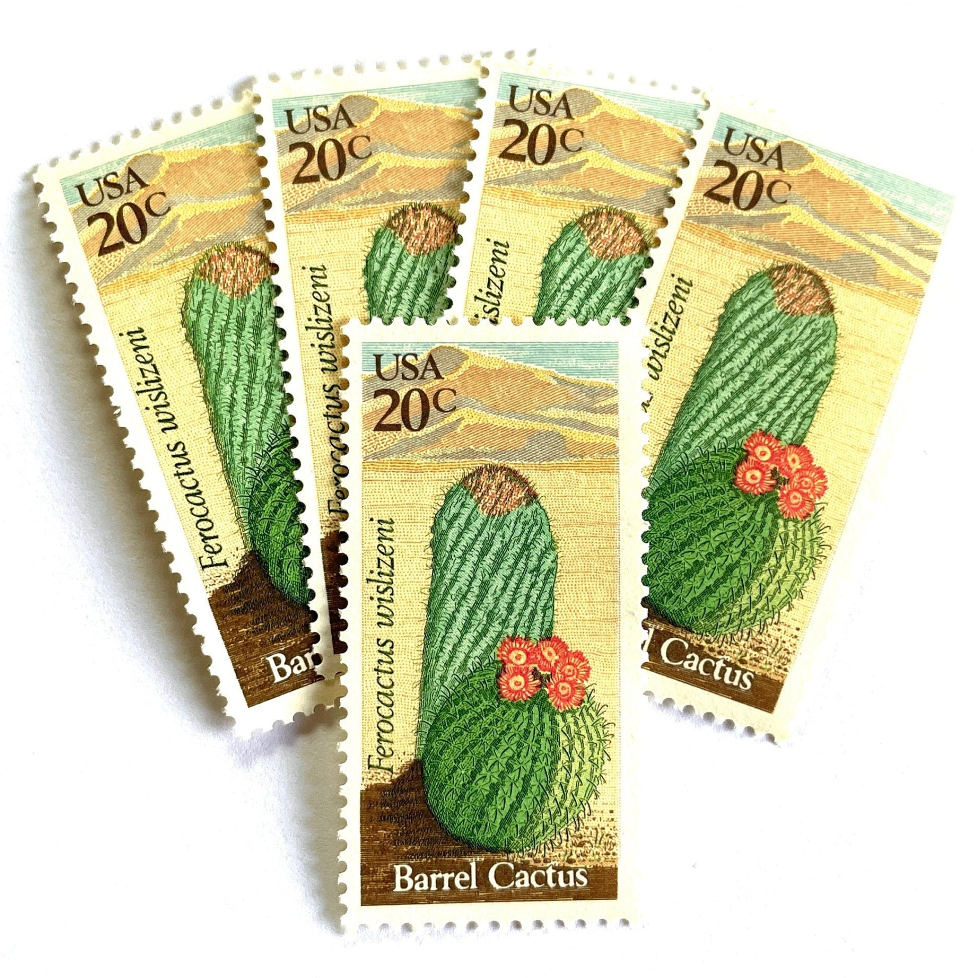 Image of Barrel Cactus postage stamps from the 1981 Desert Plants series, featuring a green cactus with yellow and brown Southwestern botanical artwork on vintage unused 20-cent USPS postage, Scott 1942.
