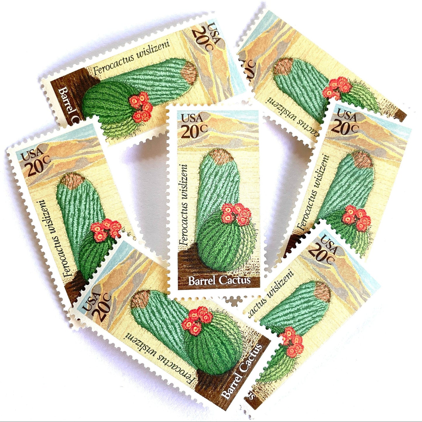 Image of Barrel Cactus postage stamps from the 1981 Desert Plants series, featuring a green cactus with yellow and brown Southwestern botanical artwork on vintage unused 20-cent USPS postage, Scott 1942.