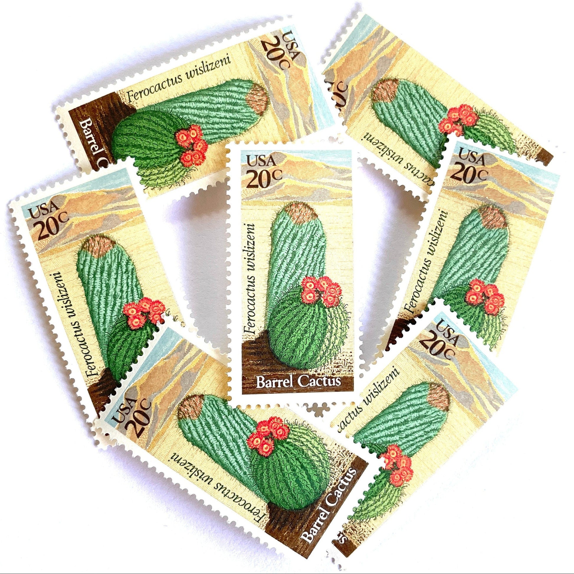 Image of Barrel Cactus postage stamps from the 1981 Desert Plants series, featuring a green cactus with yellow and brown Southwestern botanical artwork on vintage unused 20-cent USPS postage, Scott 1942.
