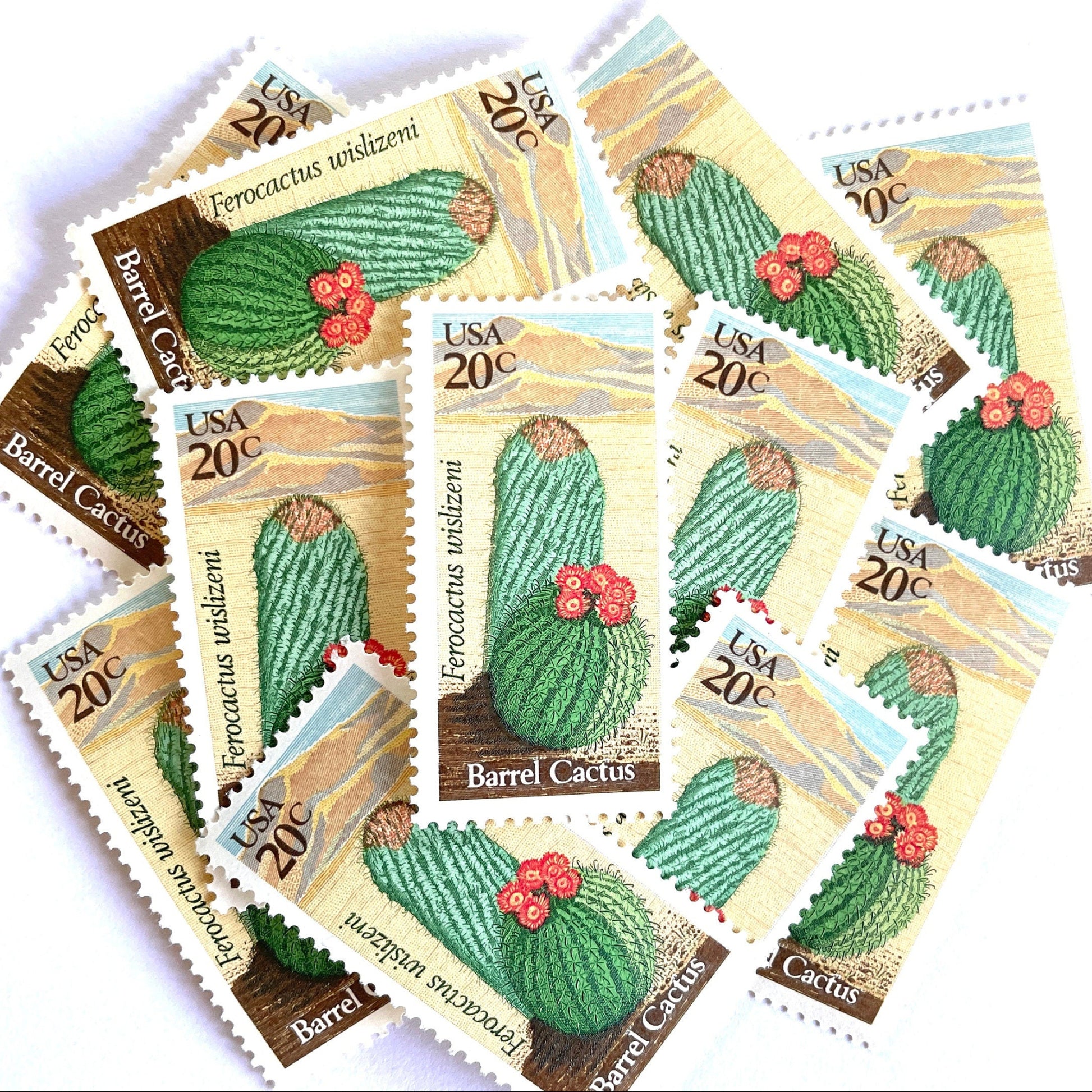 Image of Barrel Cactus postage stamps from the 1981 Desert Plants series, featuring a green cactus with yellow and brown Southwestern botanical artwork on vintage unused 20-cent USPS postage, Scott 1942.