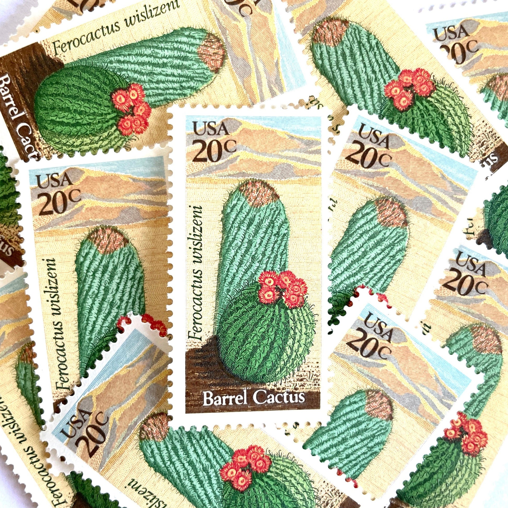 Image of Barrel Cactus postage stamps from the 1981 Desert Plants series, featuring a green cactus with yellow and brown Southwestern botanical artwork on vintage unused 20-cent USPS postage, Scott 1942.