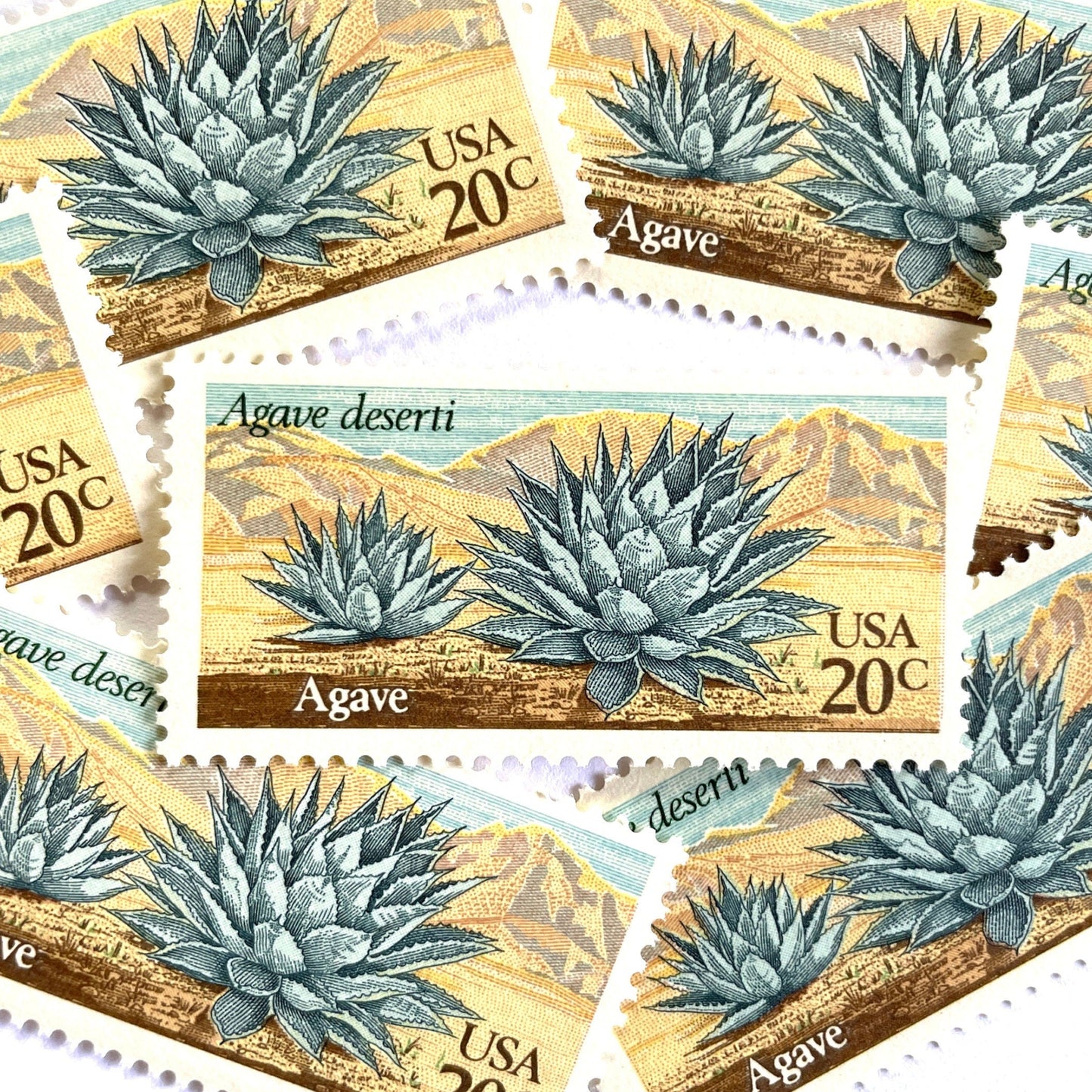 HPH-1943-Agave-Desert-Plants-Series-Green-1981-20c-USPS-Postage-Stamps-2