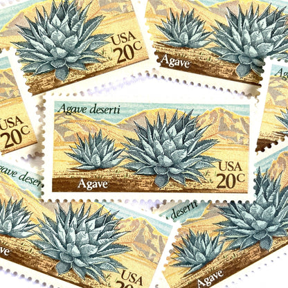HPH-1943-Agave-Desert-Plants-Series-Green-1981-20c-USPS-Postage-Stamps-2