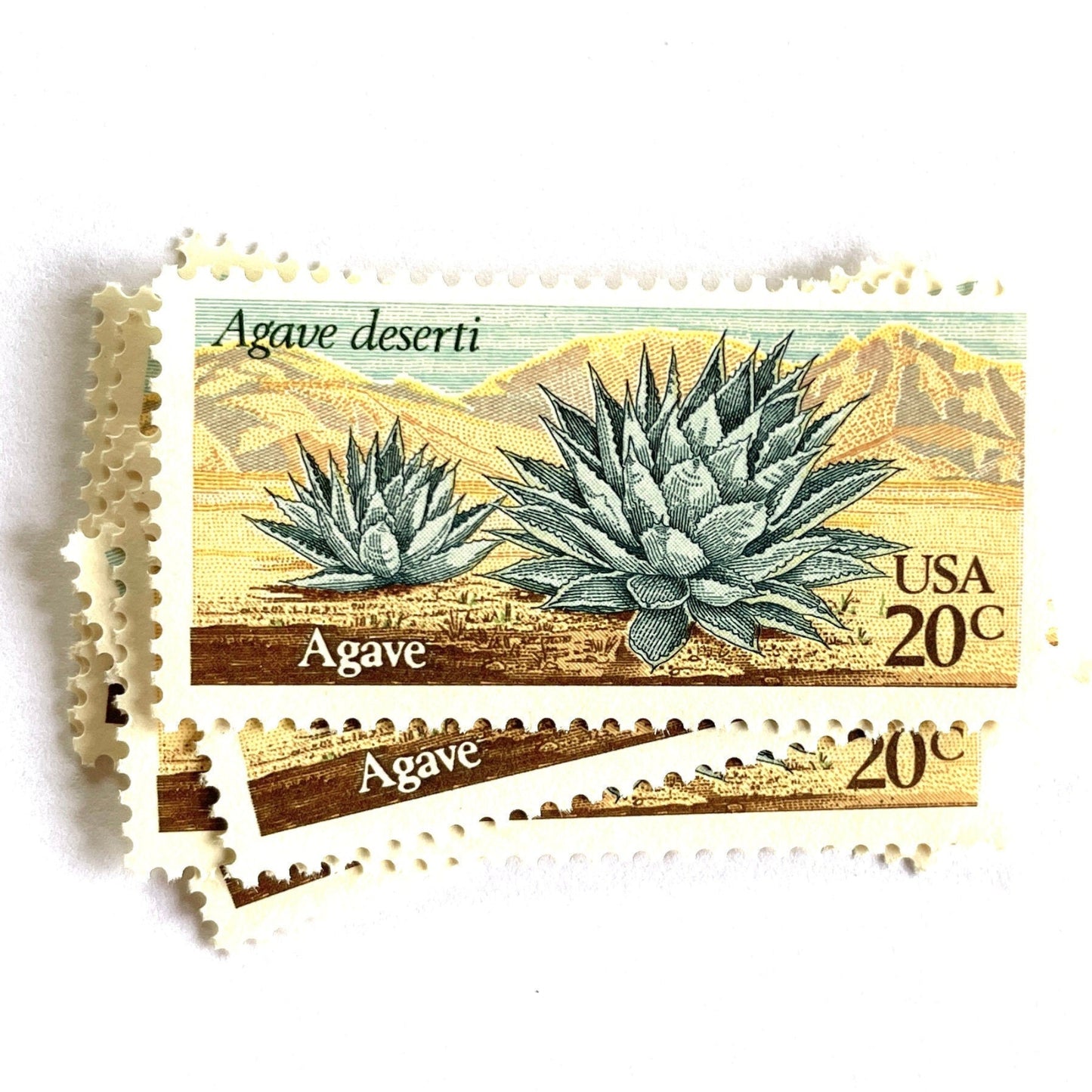 HPH-1943-Agave-Desert-Plants-Series-Green-1981-20c-USPS-Postage-Stamps-3