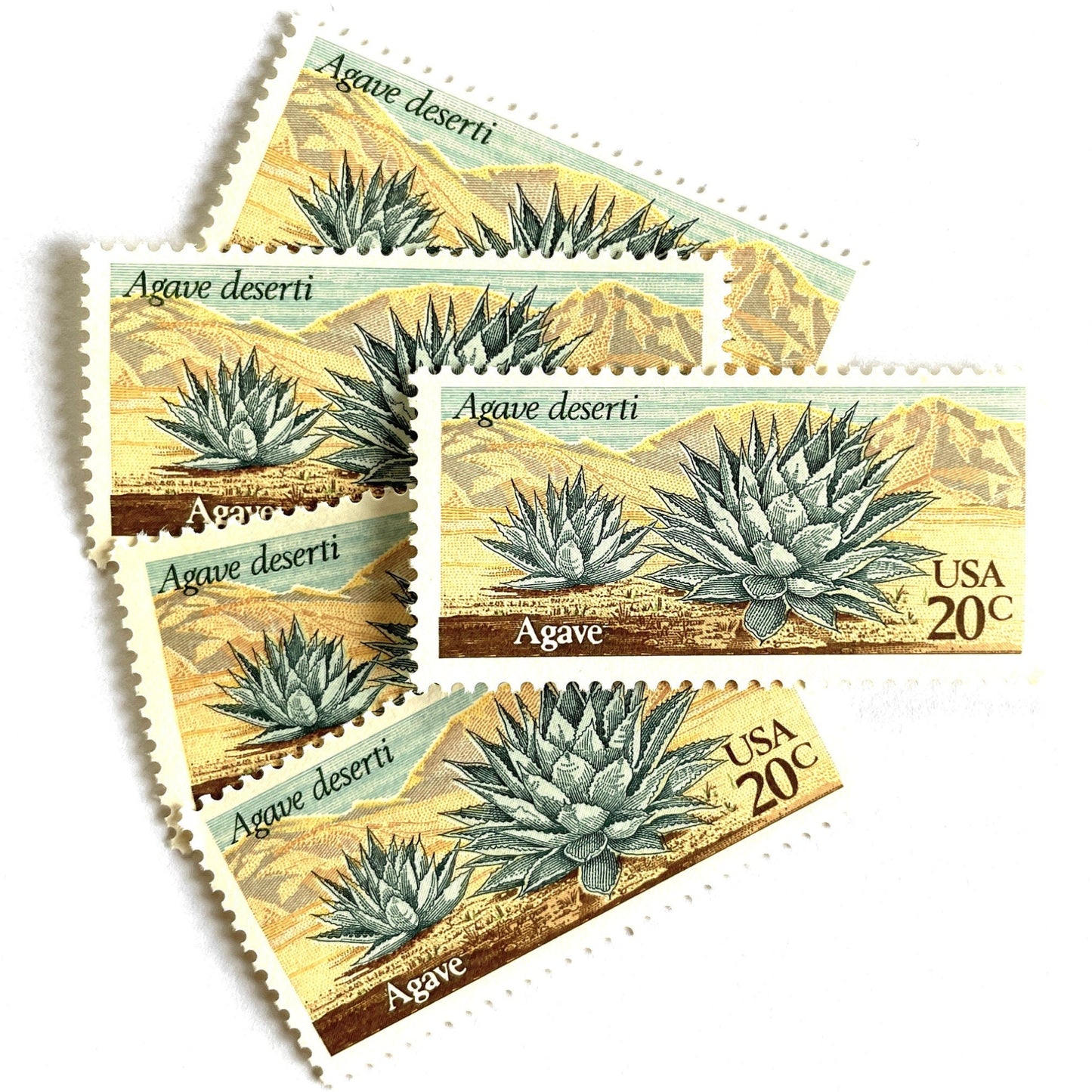 Image of Agave postage stamps from the 1981 Desert Plants series, featuring a green desert succulent with blue and brown botanical artwork on vintage unused 20-cent USPS postage, Scott 1943.