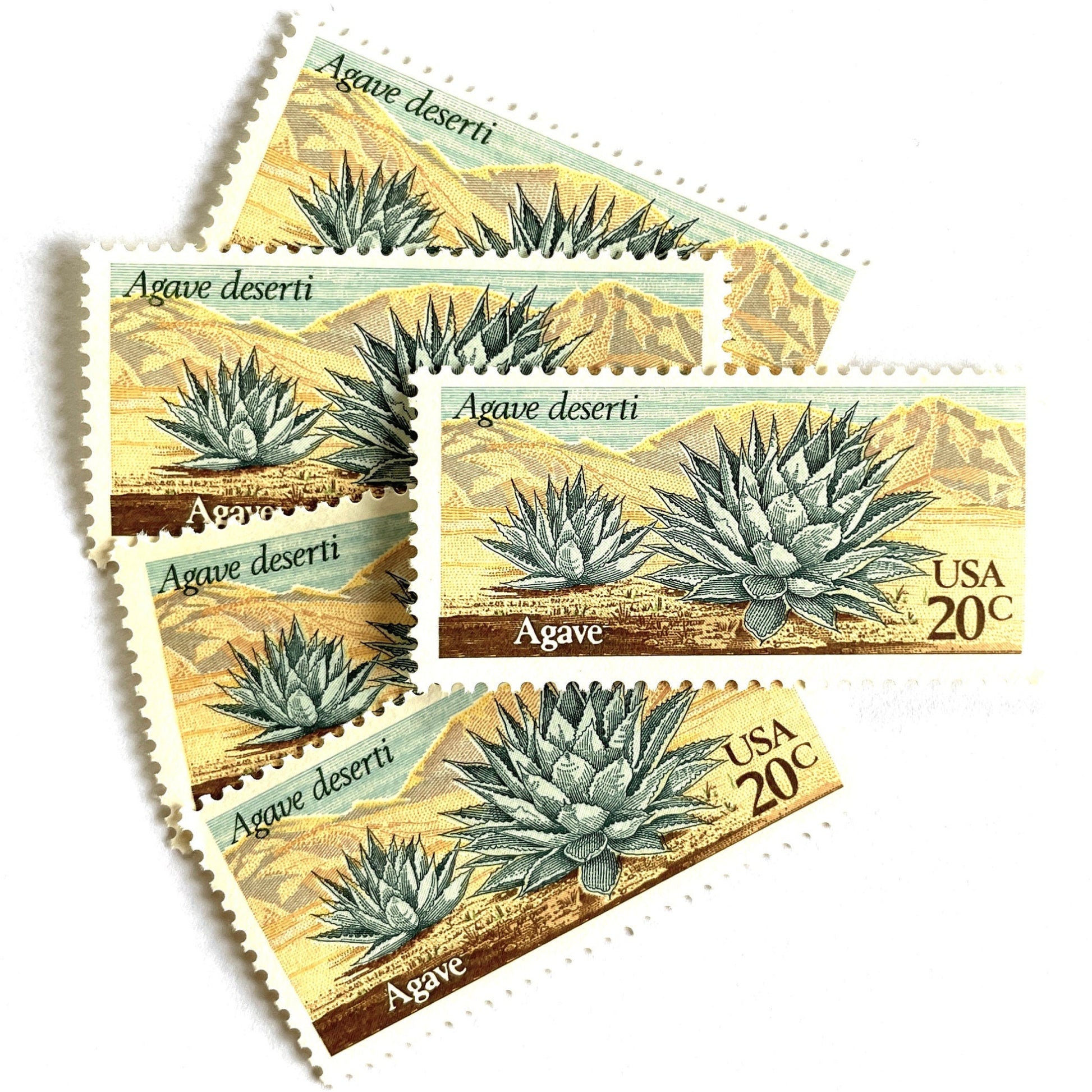 Image of Agave postage stamps from the 1981 Desert Plants series, featuring a green desert succulent with blue and brown botanical artwork on vintage unused 20-cent USPS postage, Scott 1943.