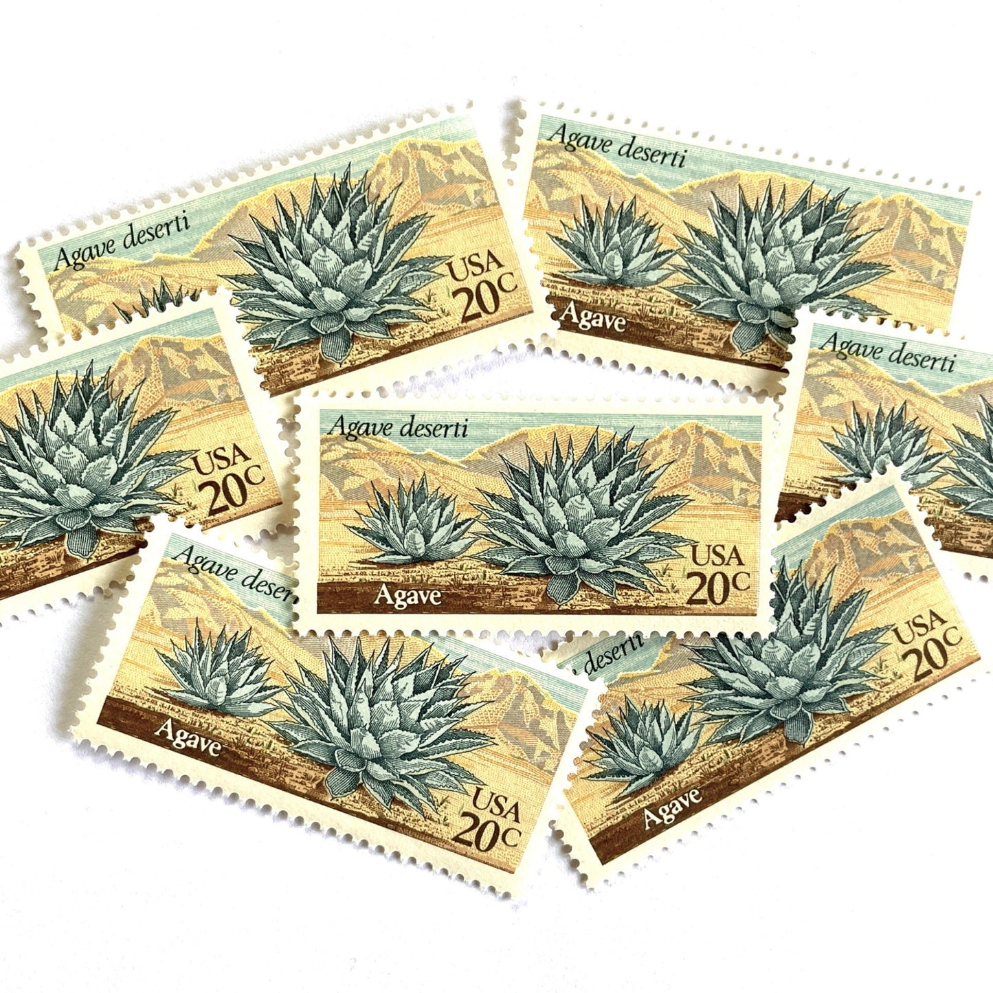 Image of Agave postage stamps from the 1981 Desert Plants series, featuring a green desert succulent with blue and brown botanical artwork on vintage unused 20-cent USPS postage, Scott 1943.