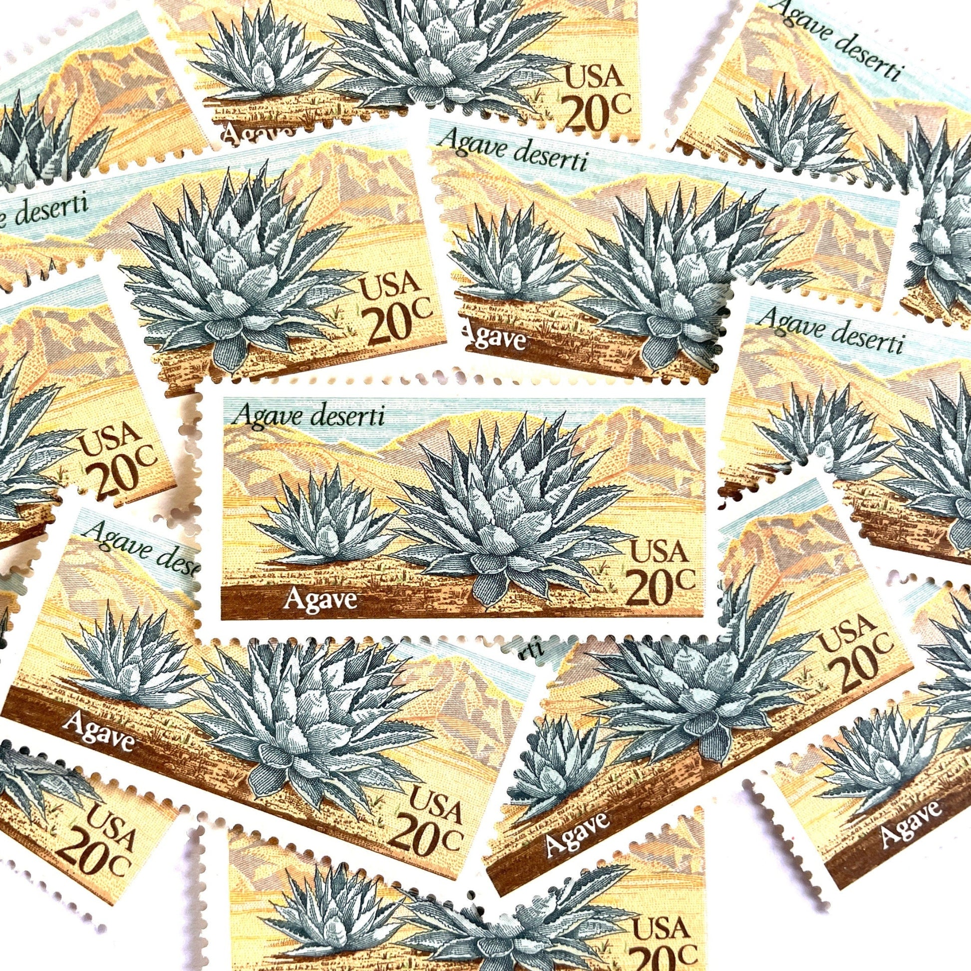 Image of Agave postage stamps from the 1981 Desert Plants series, featuring a green desert succulent with blue and brown botanical artwork on vintage unused 20-cent USPS postage, Scott 1943.