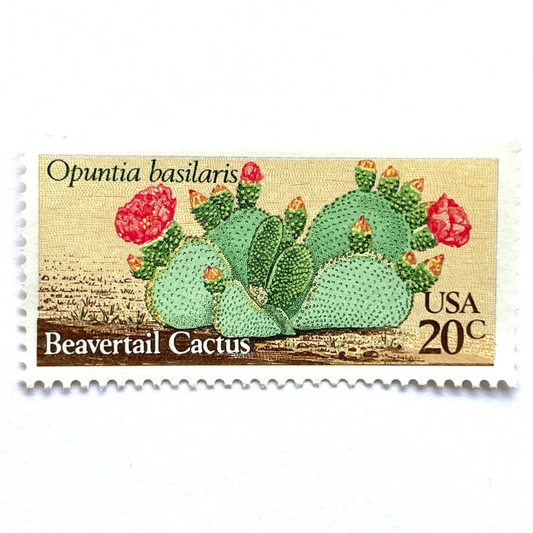 Image of four 20 cent Desert Plants Series 1981 Beavertail Cactus stamp. Scott #1944. Stamp themes: Cactus, Desert, Opuntia Basilaris, Southwest, Western, Texas, Mexican. Green and red postage stamp.