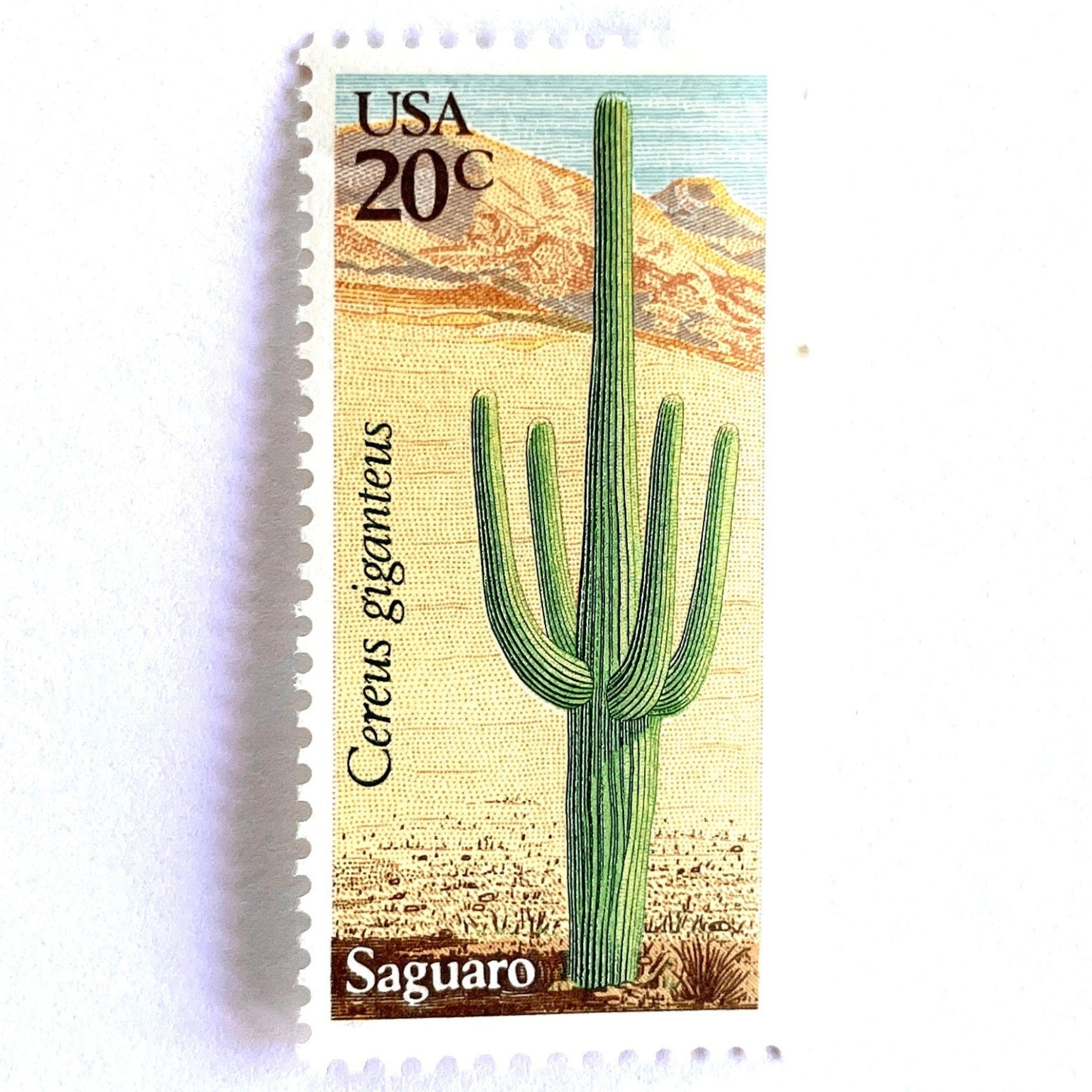 Image of Saguaro postage stamps from the 1981 Desert Plants series, featuring a green desert cactus with blue and brown Southwestern botanical artwork on vintage unused 20-cent USPS postage, Scott 1945.