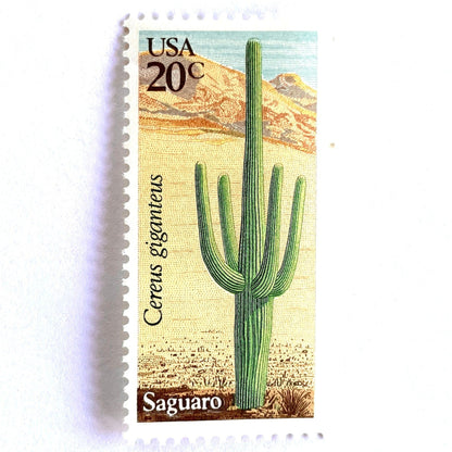 Image of Saguaro postage stamps from the 1981 Desert Plants series, featuring a green desert cactus with blue and brown Southwestern botanical artwork on vintage unused 20-cent USPS postage, Scott 1945.