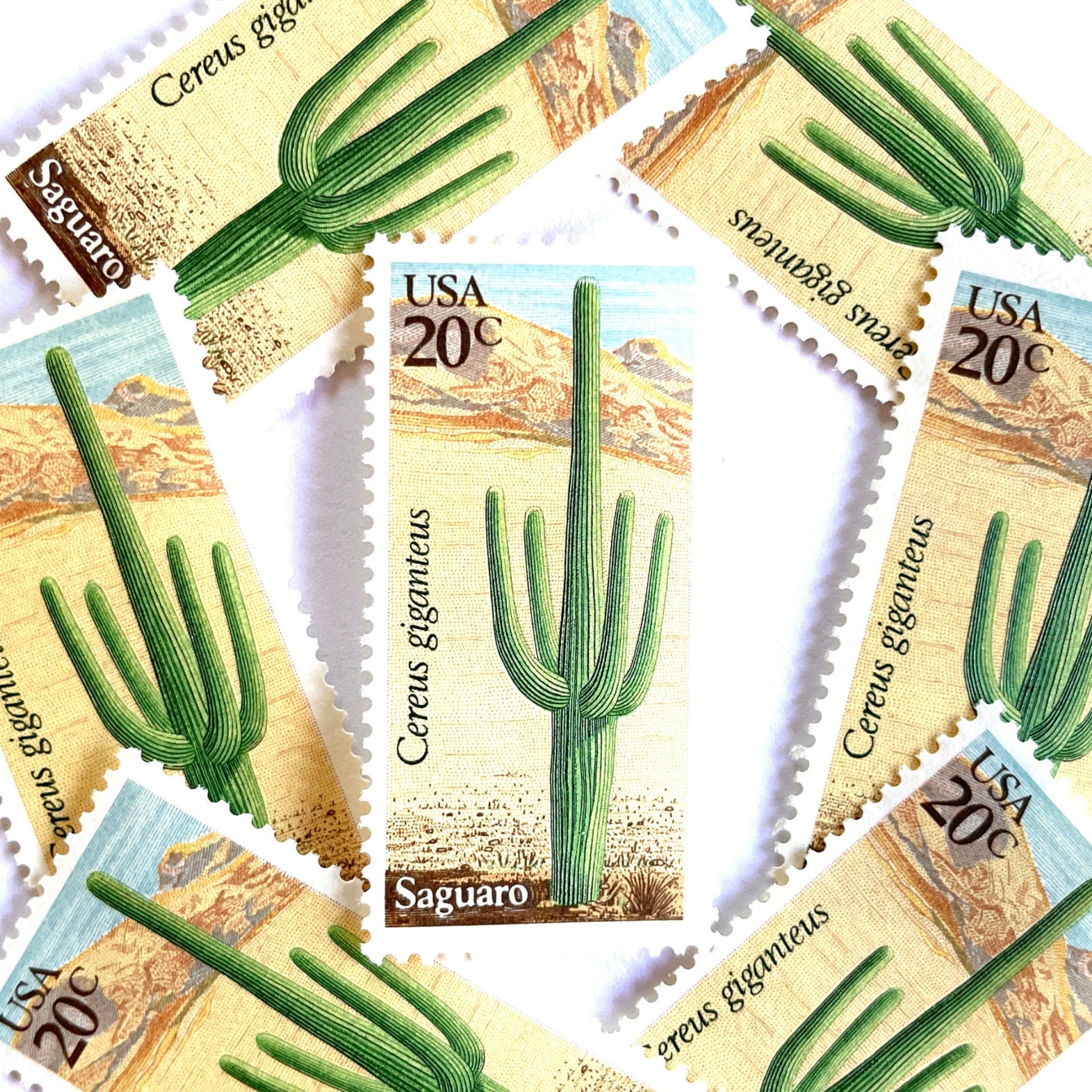 Image of Saguaro postage stamps from the 1981 Desert Plants series, featuring a green desert cactus with blue and brown Southwestern botanical artwork on vintage unused 20-cent USPS postage, Scott 1945.