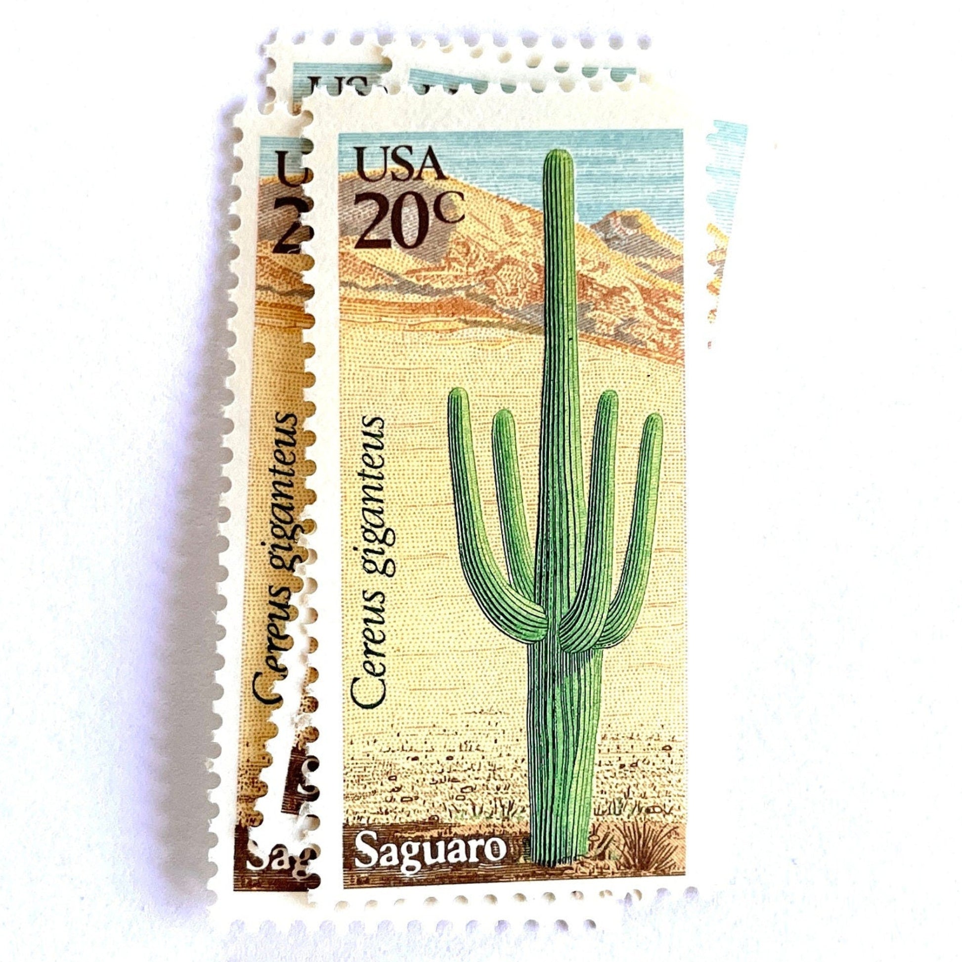 Image of Saguaro postage stamps from the 1981 Desert Plants series, featuring a green desert cactus with blue and brown Southwestern botanical artwork on vintage unused 20-cent USPS postage, Scott 1945.
