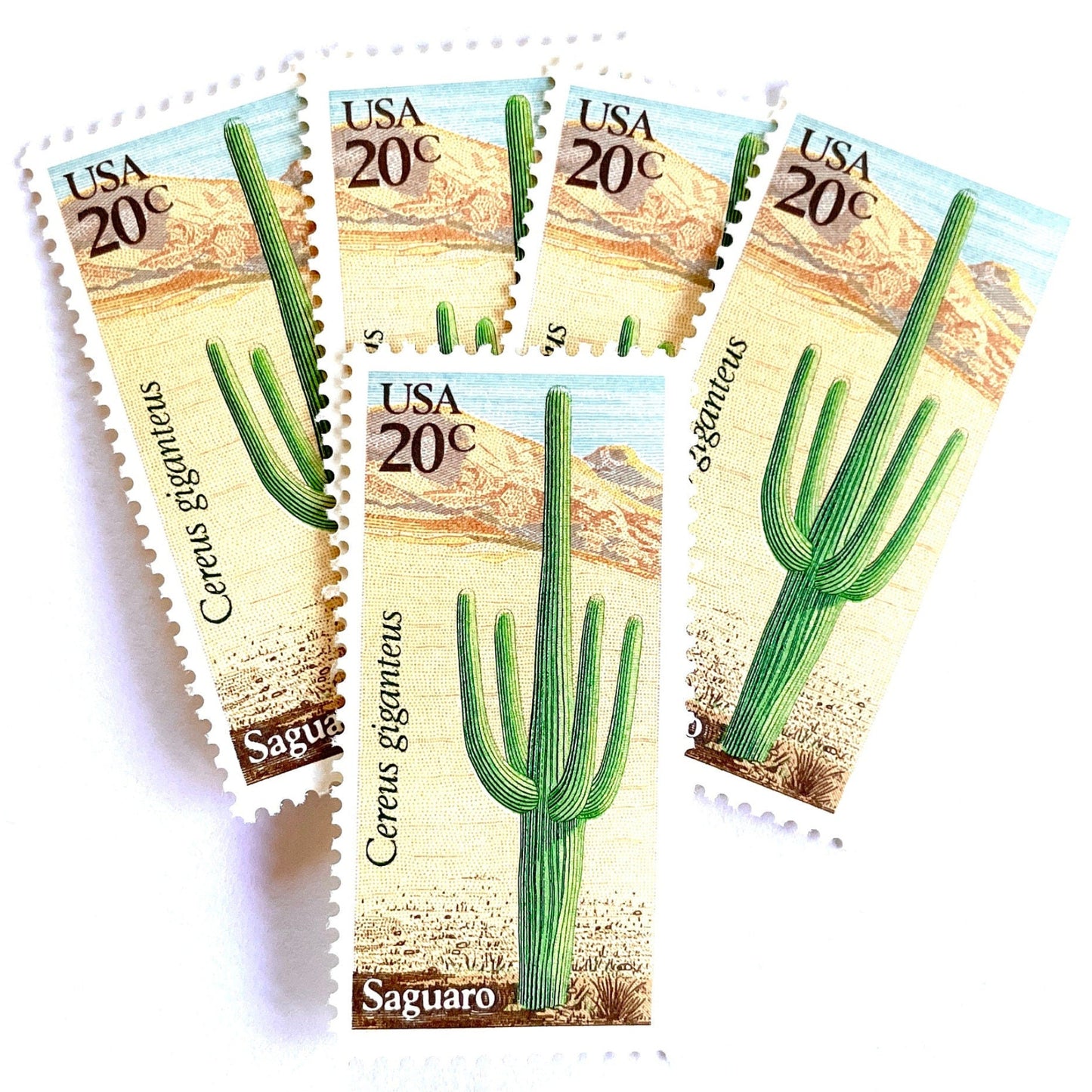 Image of Saguaro postage stamps from the 1981 Desert Plants series, featuring a green desert cactus with blue and brown Southwestern botanical artwork on vintage unused 20-cent USPS postage, Scott 1945.