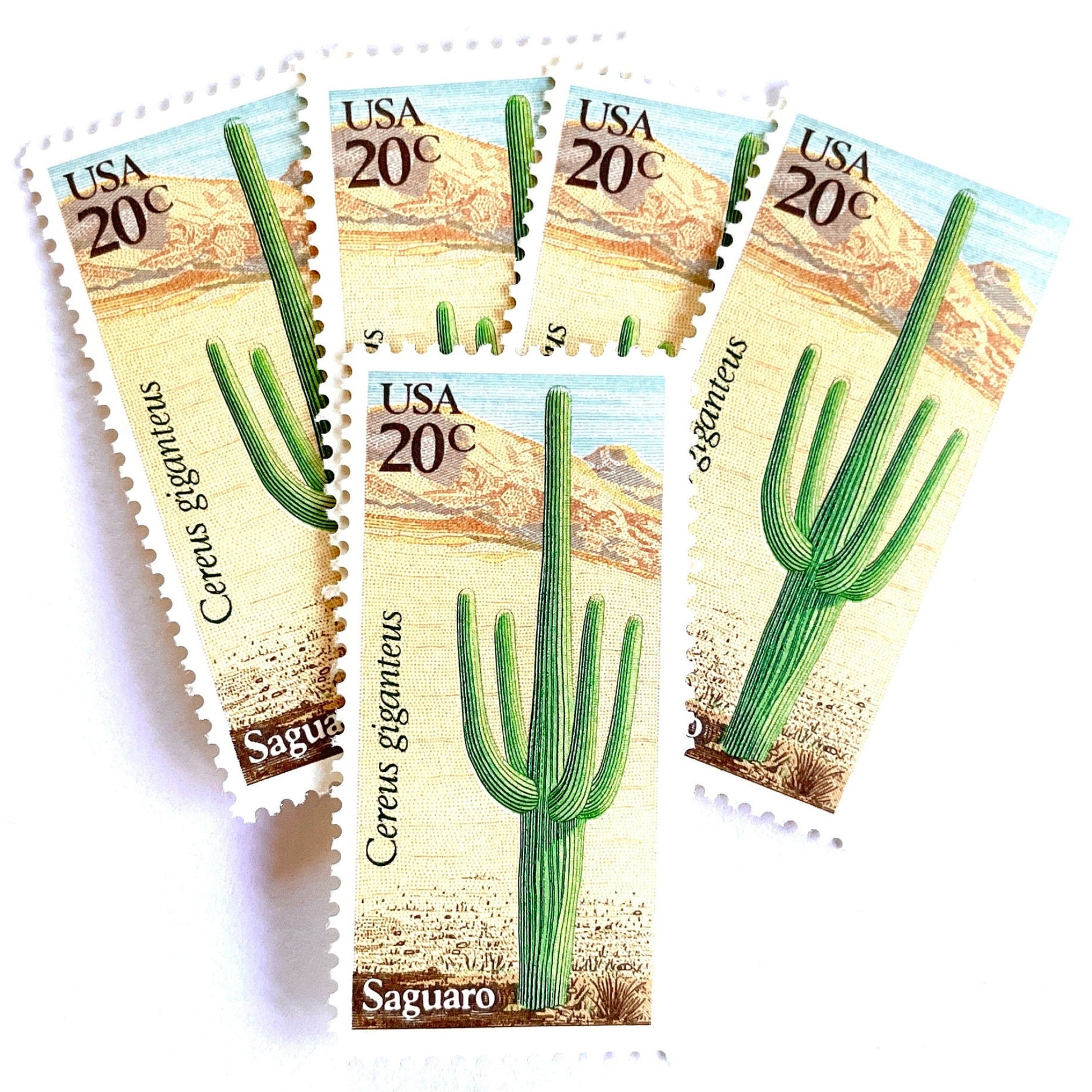 Image of Saguaro postage stamps from the 1981 Desert Plants series, featuring a green desert cactus with blue and brown Southwestern botanical artwork on vintage unused 20-cent USPS postage, Scott 1945.