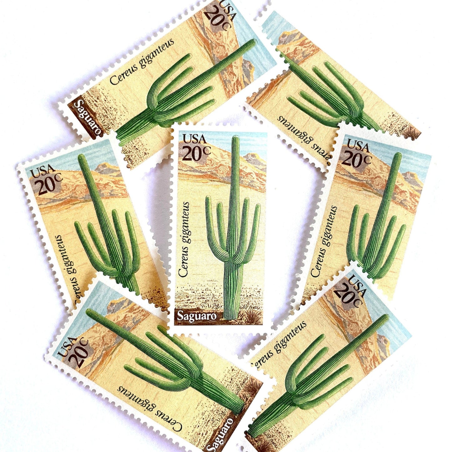 Image of Saguaro postage stamps from the 1981 Desert Plants series, featuring a green desert cactus with blue and brown Southwestern botanical artwork on vintage unused 20-cent USPS postage, Scott 1945.