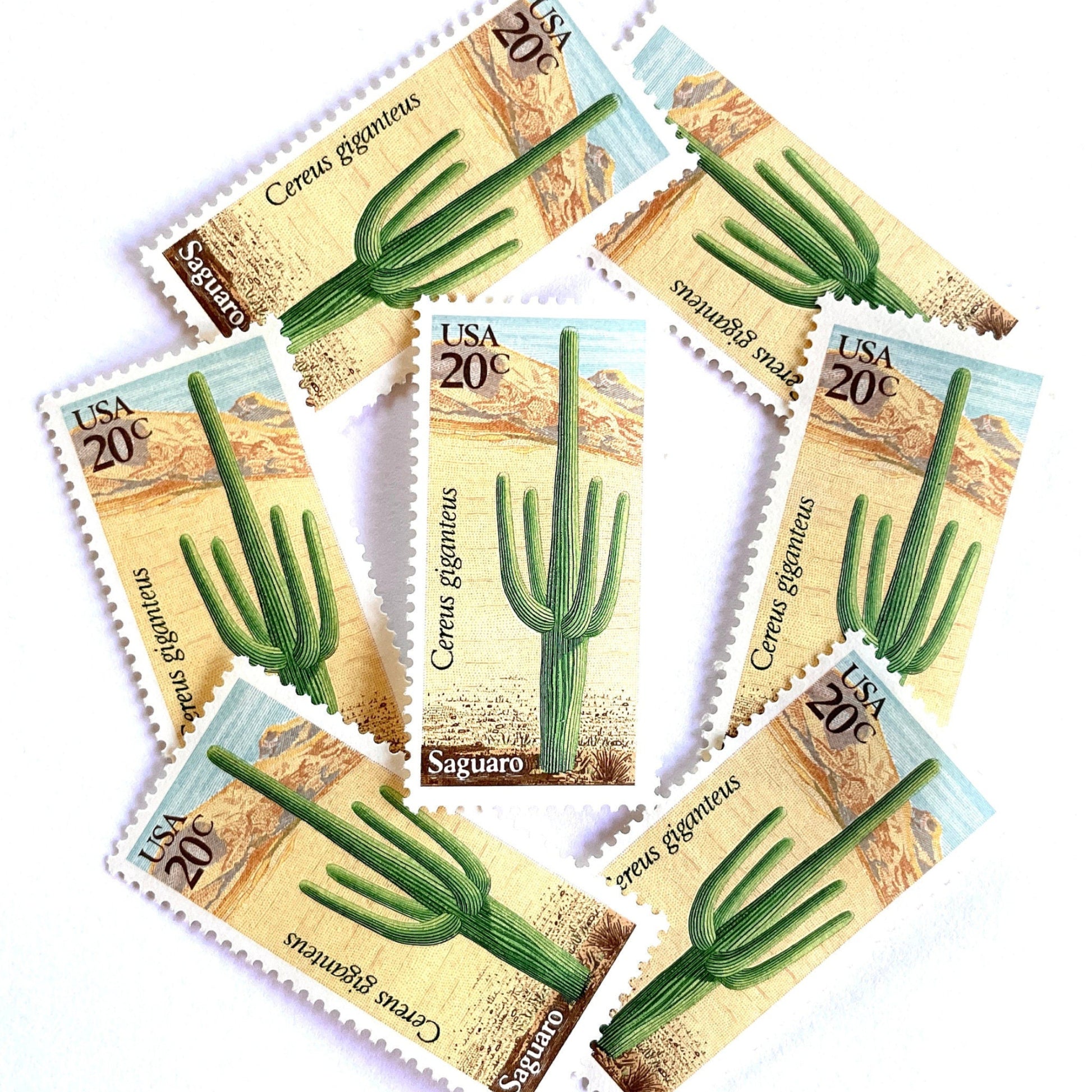 Image of Saguaro postage stamps from the 1981 Desert Plants series, featuring a green desert cactus with blue and brown Southwestern botanical artwork on vintage unused 20-cent USPS postage, Scott 1945.