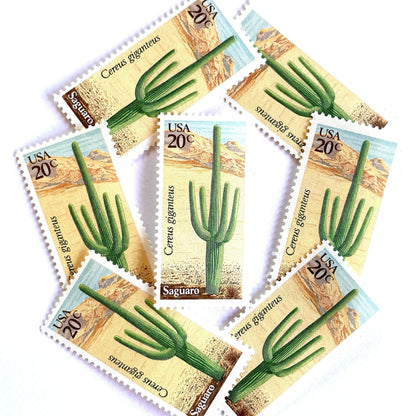 Image of Saguaro postage stamps from the 1981 Desert Plants series, featuring a green desert cactus with blue and brown Southwestern botanical artwork on vintage unused 20-cent USPS postage, Scott 1945.
