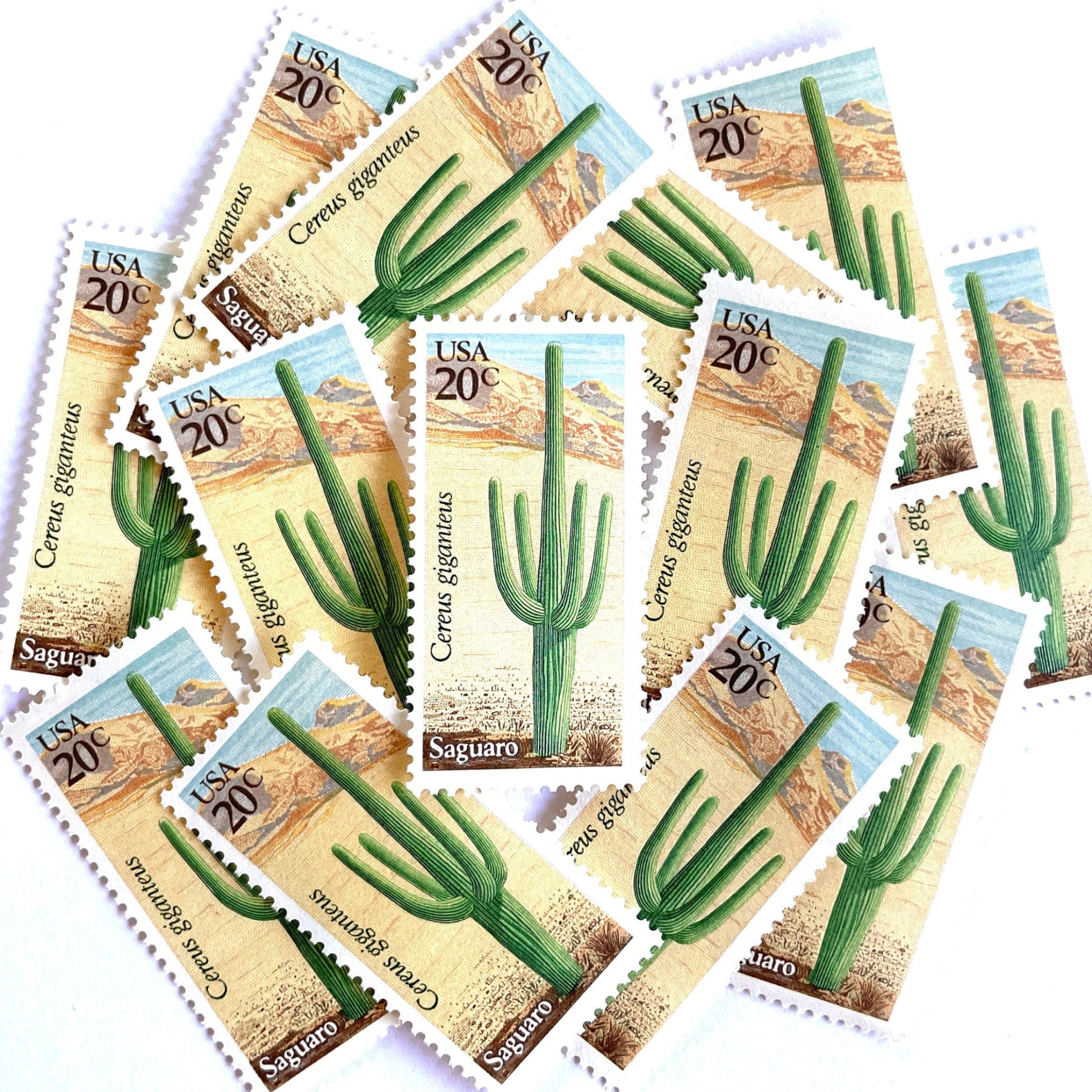 Image of Saguaro postage stamps from the 1981 Desert Plants series, featuring a green desert cactus with blue and brown Southwestern botanical artwork on vintage unused 20-cent USPS postage, Scott 1945.