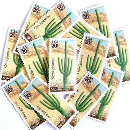 Image of Saguaro postage stamps from the 1981 Desert Plants series, featuring a green desert cactus with blue and brown Southwestern botanical artwork on vintage unused 20-cent USPS postage, Scott 1945.