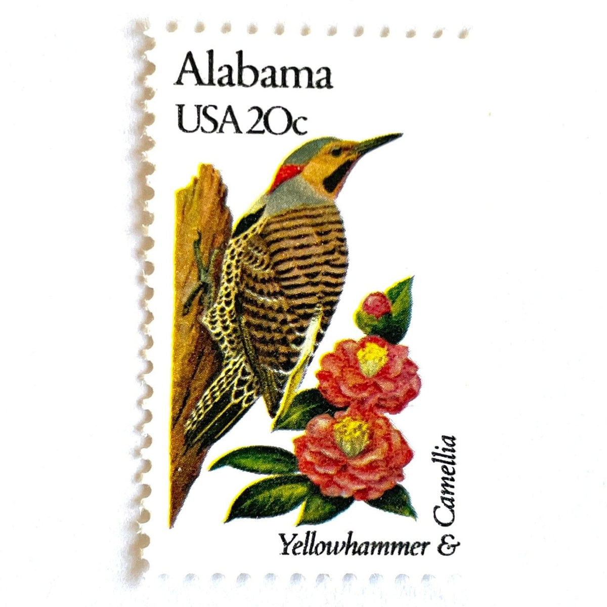 Image of Alabama State Bird and Flower postage stamps from 1982, featuring a Yellowhammer and Camellia on vintage unused 20-cent USPS postage, Scott 1953.