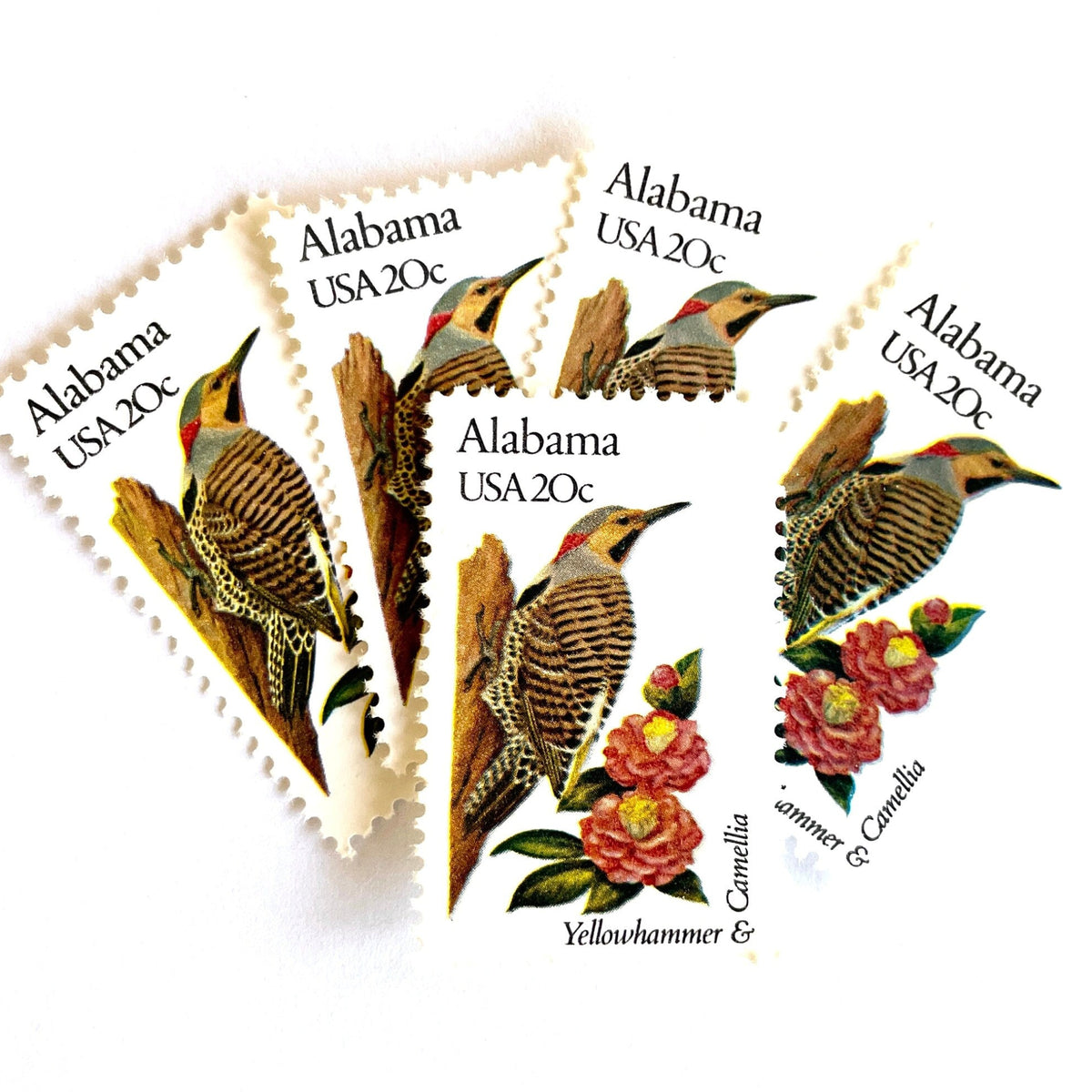 Image of Alabama State Bird and Flower postage stamps from 1982, featuring a Yellowhammer and Camellia on vintage unused 20-cent USPS postage, Scott 1953.
