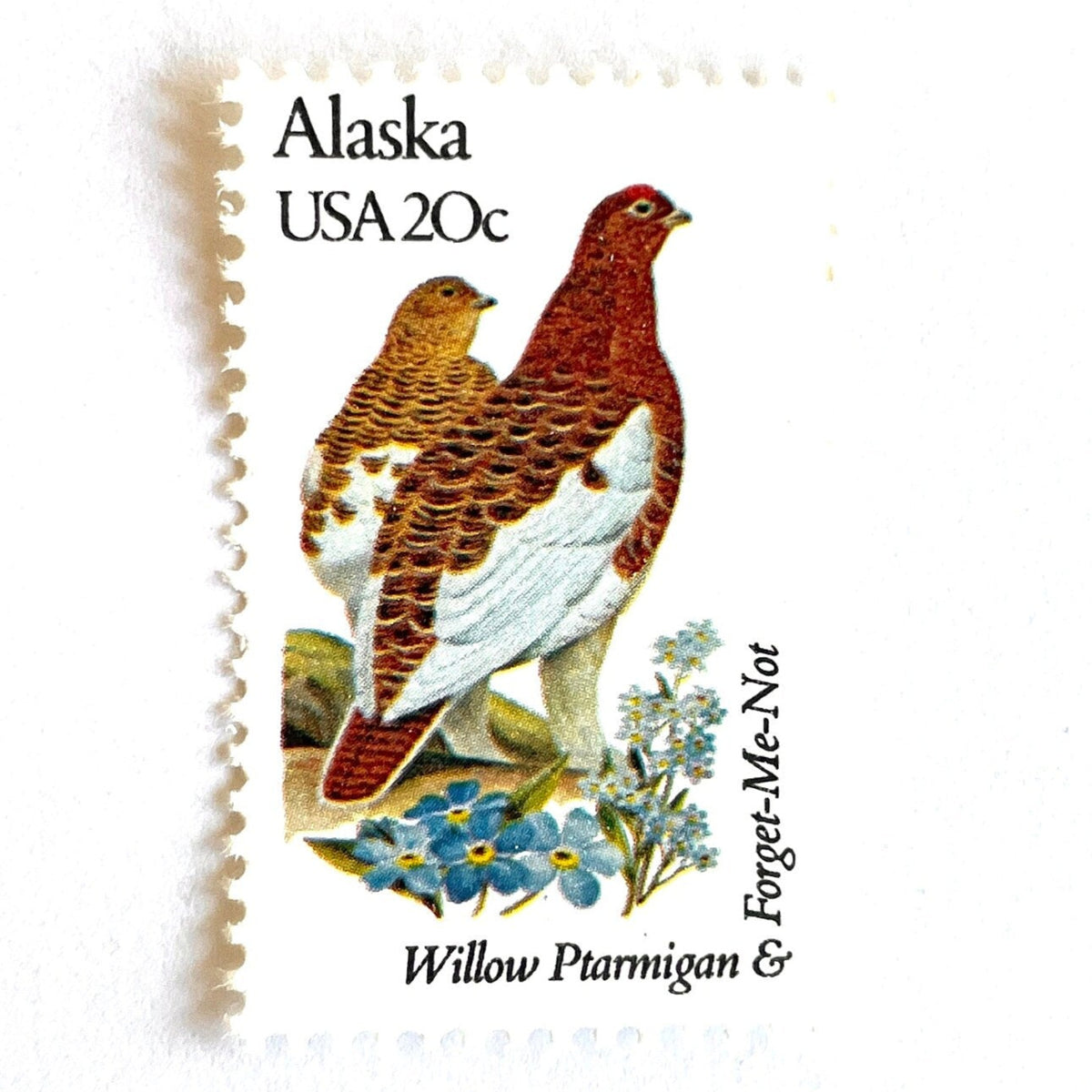Alaska State Bird and Flower postage stamps from 1982 featuring a Willow Ptarmigan and Forget-Me-Not on vintage unused 20-cent USPS postage, Scott 1954.