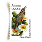 Image of Arizona State Bird and Flower postage stamps from 1982, featuring a Cactus Wren and Saguaro cactus blossom on vintage unused 20-cent USPS postage, Scott 1955.
