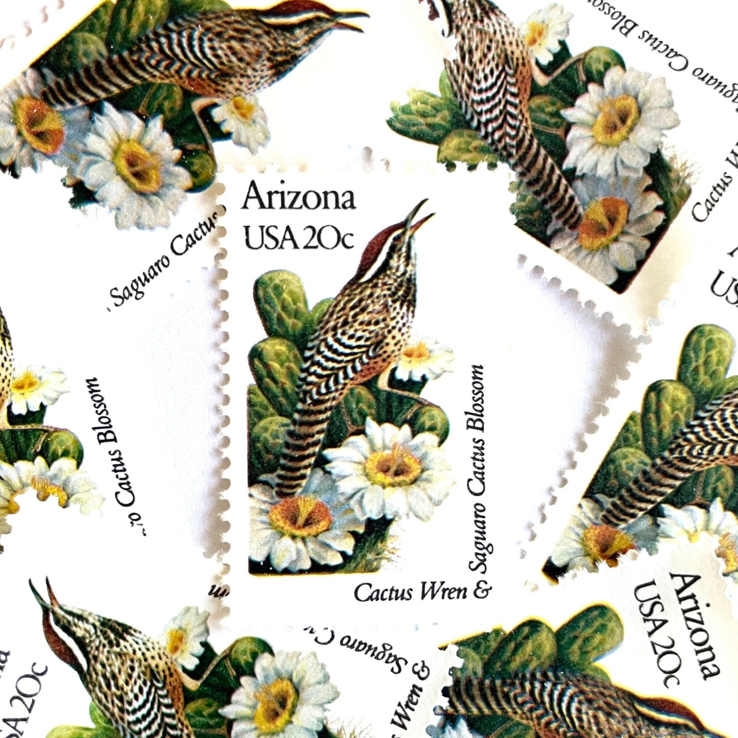 Image of Arizona State Bird and Flower postage stamps from 1982, featuring a Cactus Wren and Saguaro cactus blossom on vintage unused 20-cent USPS postage, Scott 1955.