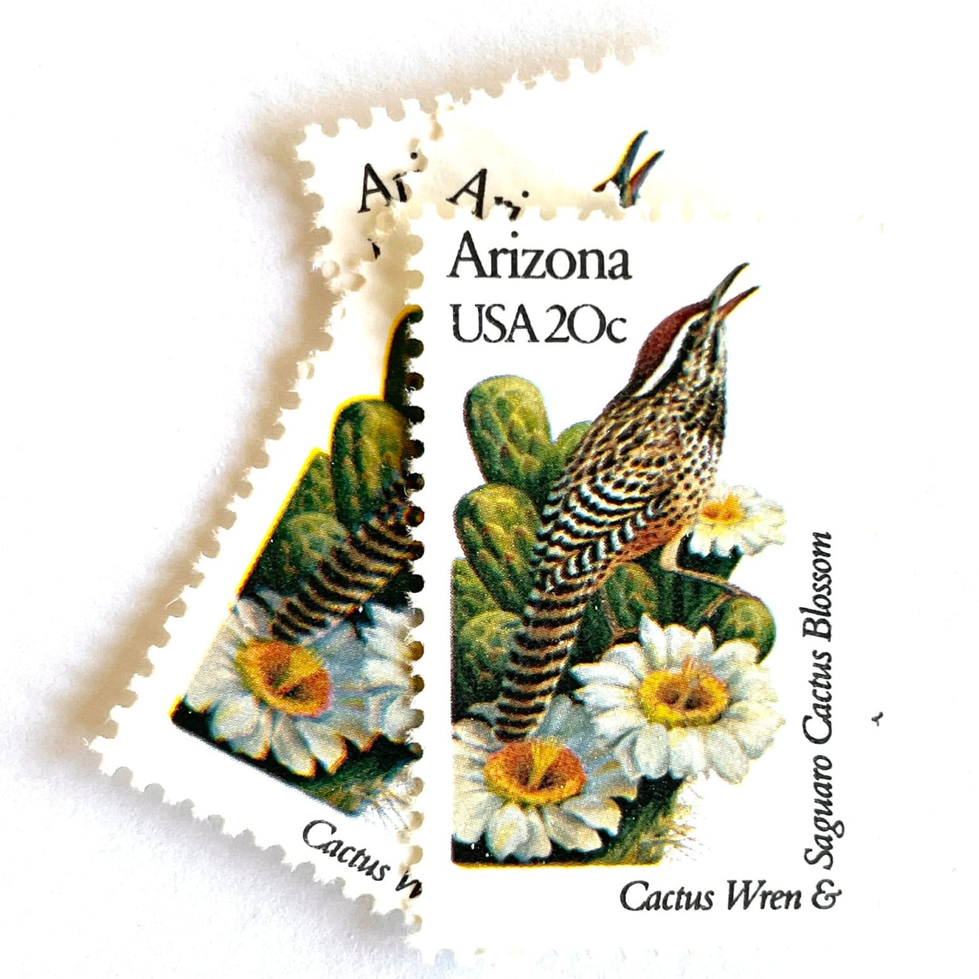 Image of Arizona State Bird and Flower postage stamps from 1982, featuring a Cactus Wren and Saguaro cactus blossom on vintage unused 20-cent USPS postage, Scott 1955.