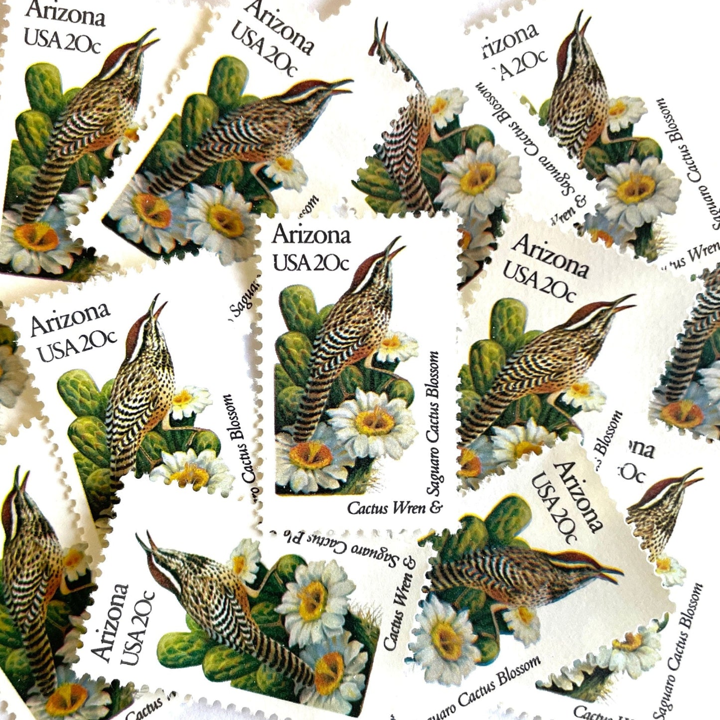 Image of Arizona State Bird and Flower postage stamps from 1982, featuring a Cactus Wren and Saguaro cactus blossom on vintage unused 20-cent USPS postage, Scott 1955.