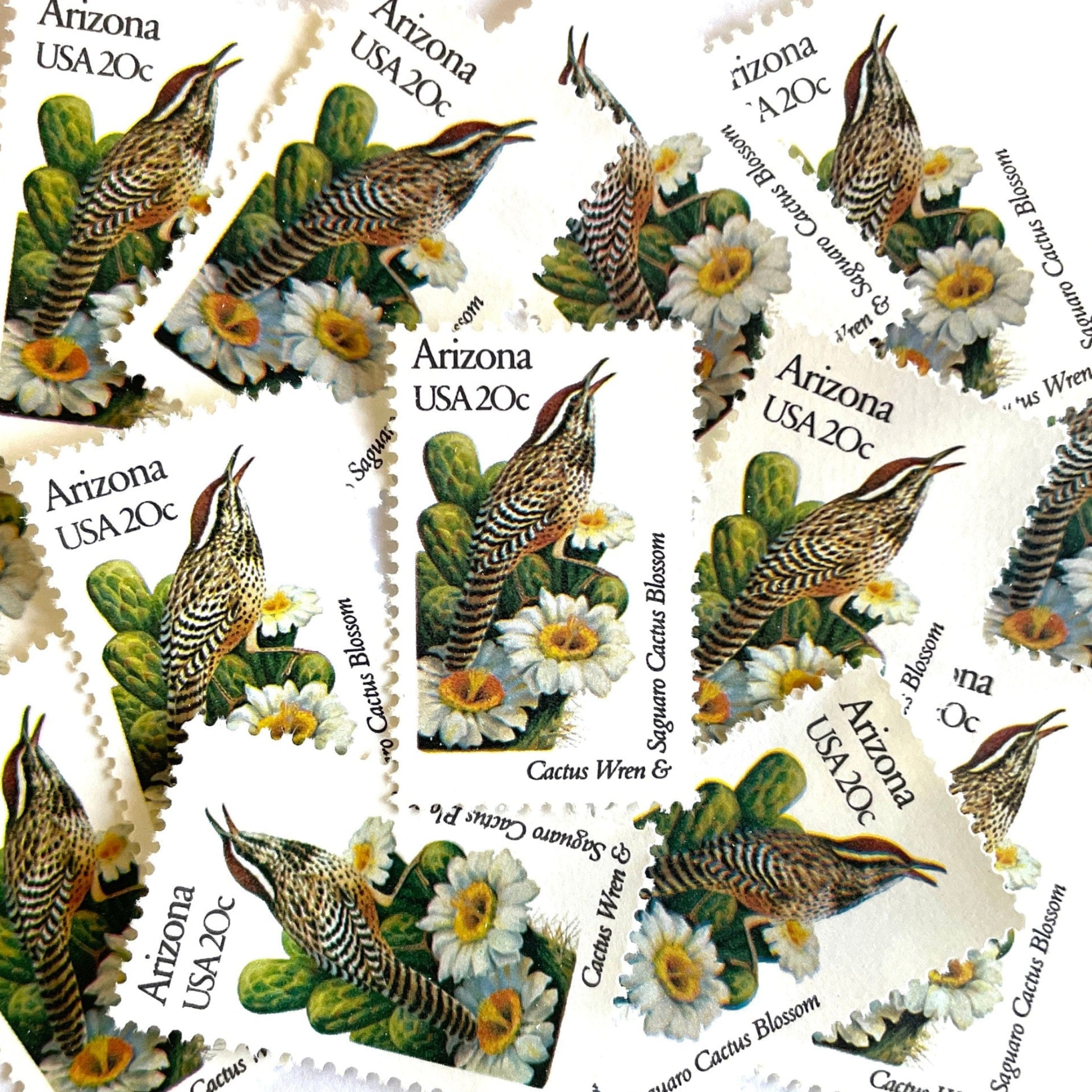 Image of Arizona State Bird and Flower postage stamps from 1982, featuring a Cactus Wren and Saguaro cactus blossom on vintage unused 20-cent USPS postage, Scott 1955.