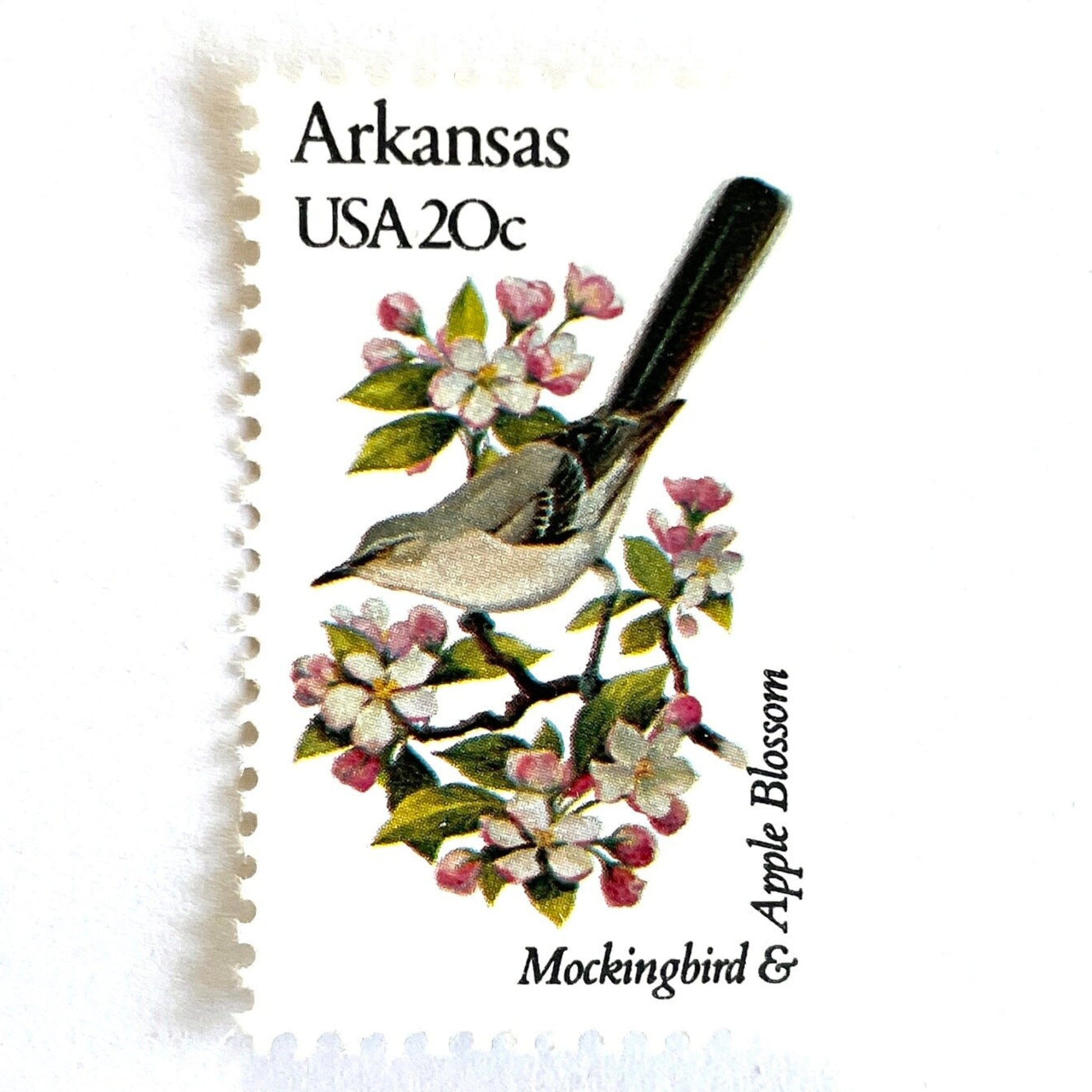 Image of Arkansas State Bird and Flower postage stamps from 1982, featuring a Mockingbird and Apple Blossom on vintage unused 20-cent USPS postage, Scott 1956.