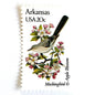Image of Arkansas State Bird and Flower postage stamps from 1982, featuring a Mockingbird and Apple Blossom on vintage unused 20-cent USPS postage, Scott 1956.