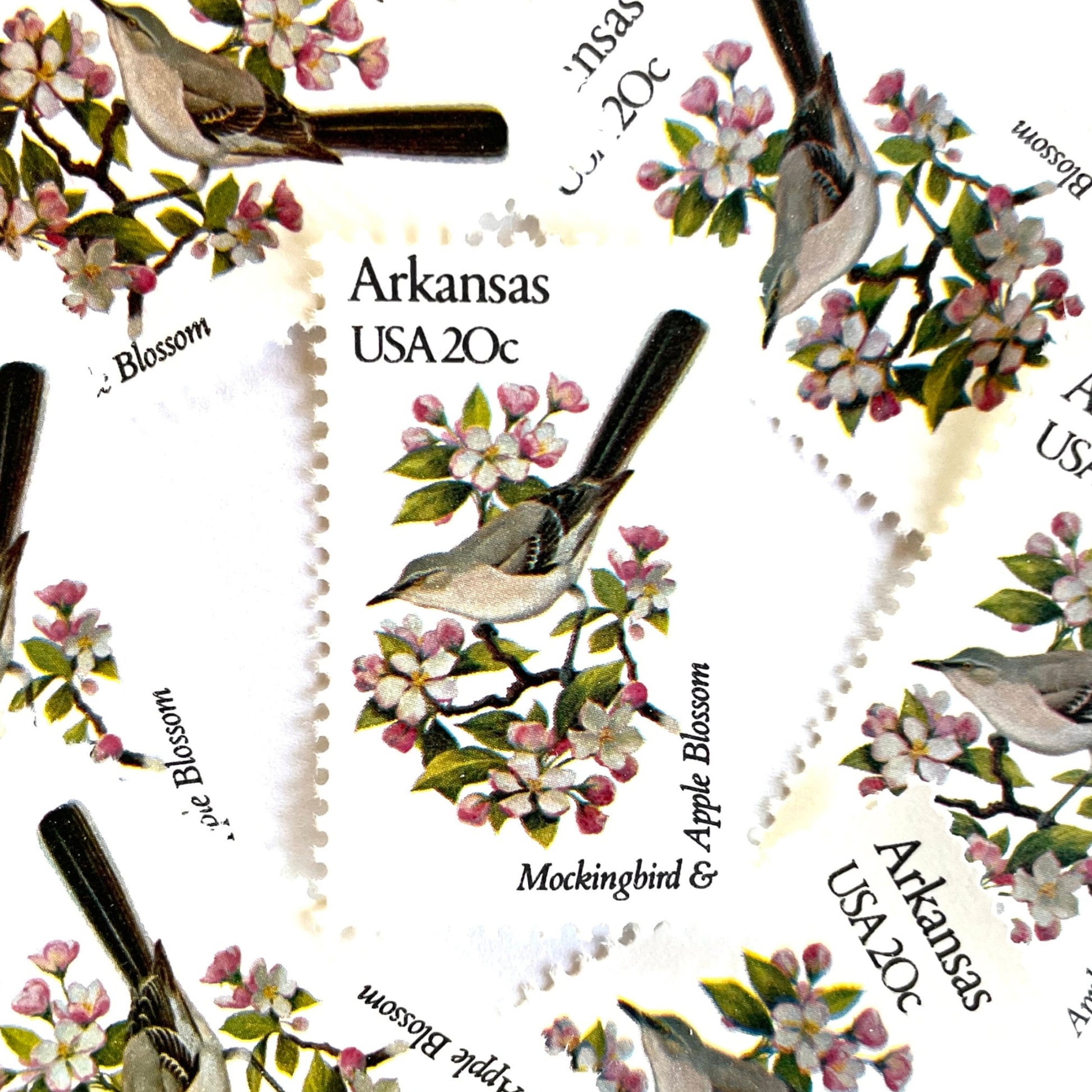 Image of Arkansas State Bird and Flower postage stamps from 1982, featuring a Mockingbird and Apple Blossom on vintage unused 20-cent USPS postage, Scott 1956.