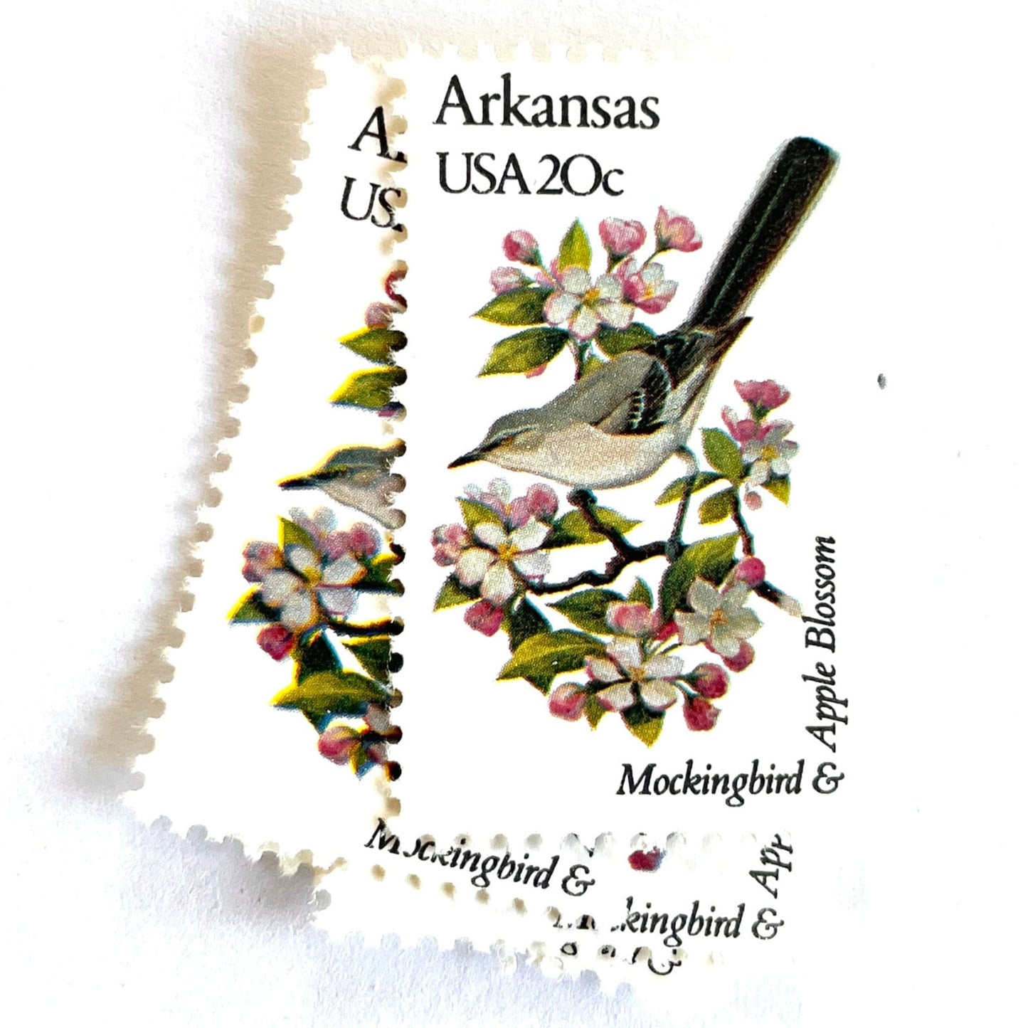 Image of Arkansas State Bird and Flower postage stamps from 1982, featuring a Mockingbird and Apple Blossom on vintage unused 20-cent USPS postage, Scott 1956.