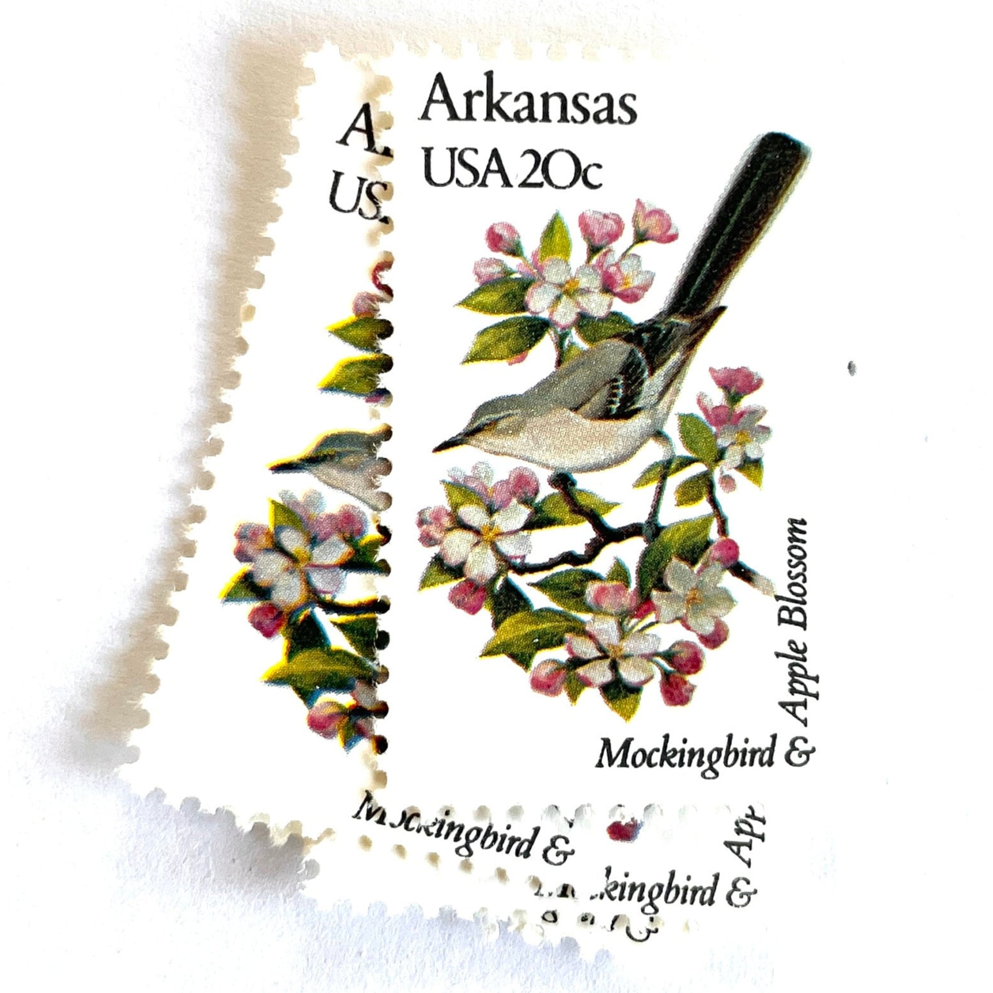 Image of Arkansas State Bird and Flower postage stamps from 1982, featuring a Mockingbird and Apple Blossom on vintage unused 20-cent USPS postage, Scott 1956.