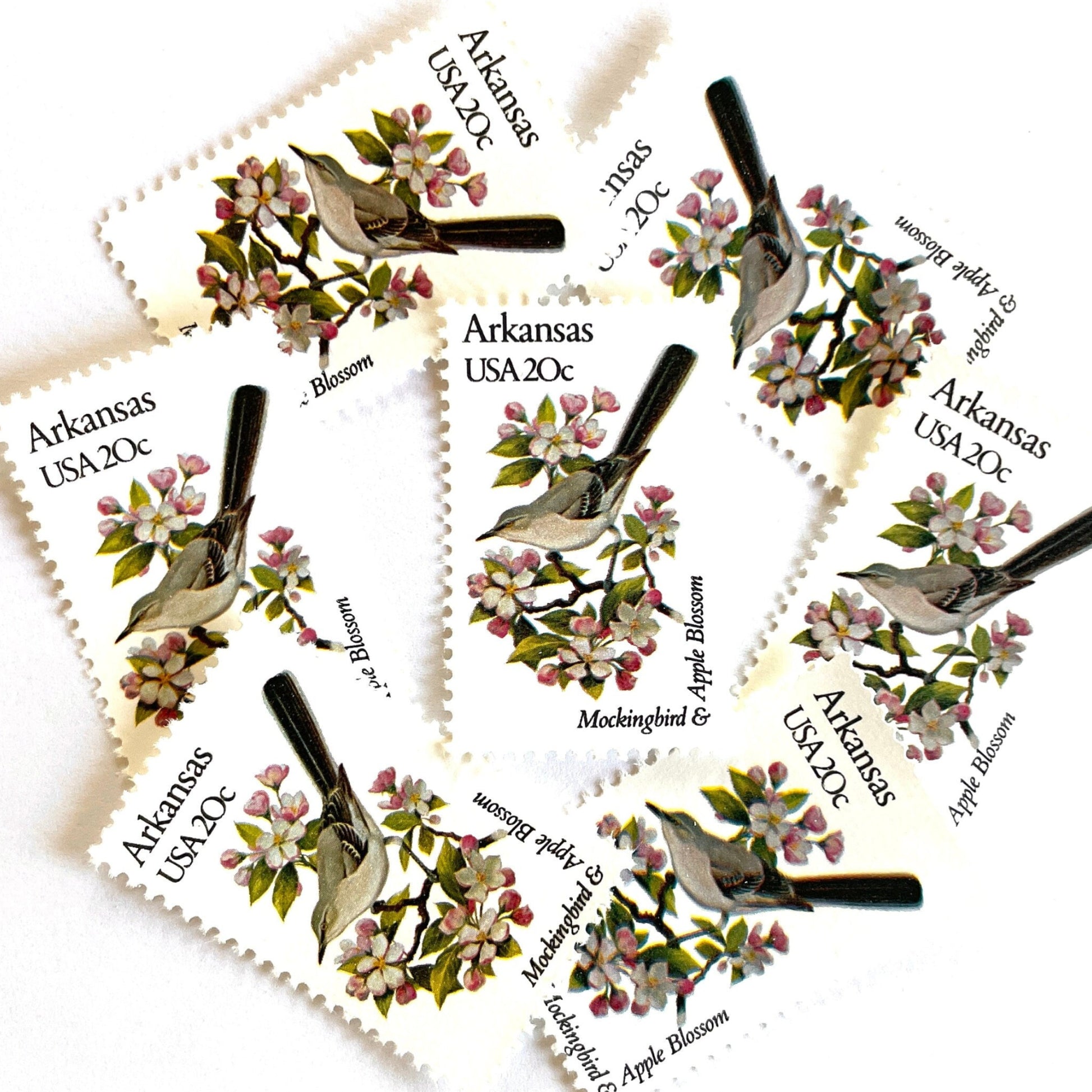 Image of Arkansas State Bird and Flower postage stamps from 1982, featuring a Mockingbird and Apple Blossom on vintage unused 20-cent USPS postage, Scott 1956.