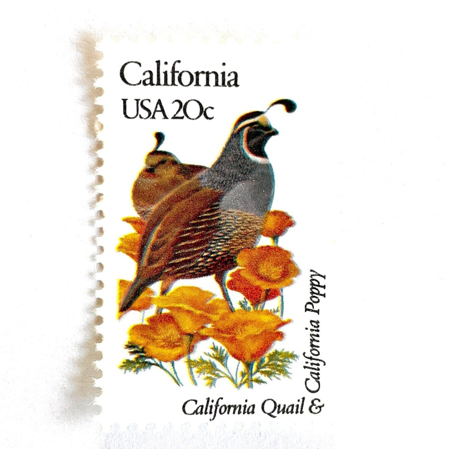 Image of California State Bird and Flower postage stamps from 1982, featuring a California Valley Quail and California Poppy on vintage unused 20-cent USPS postage, Scott 1957.