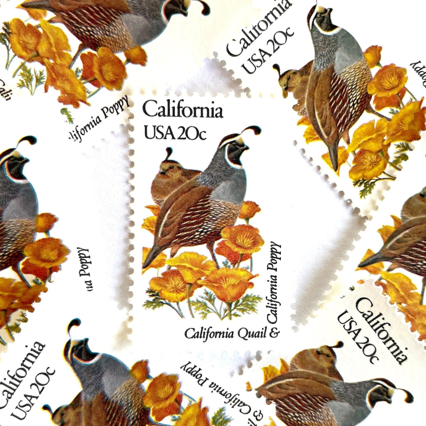 Image of California State Bird and Flower postage stamps from 1982, featuring a California Valley Quail and California Poppy on vintage unused 20-cent USPS postage, Scott 1957.