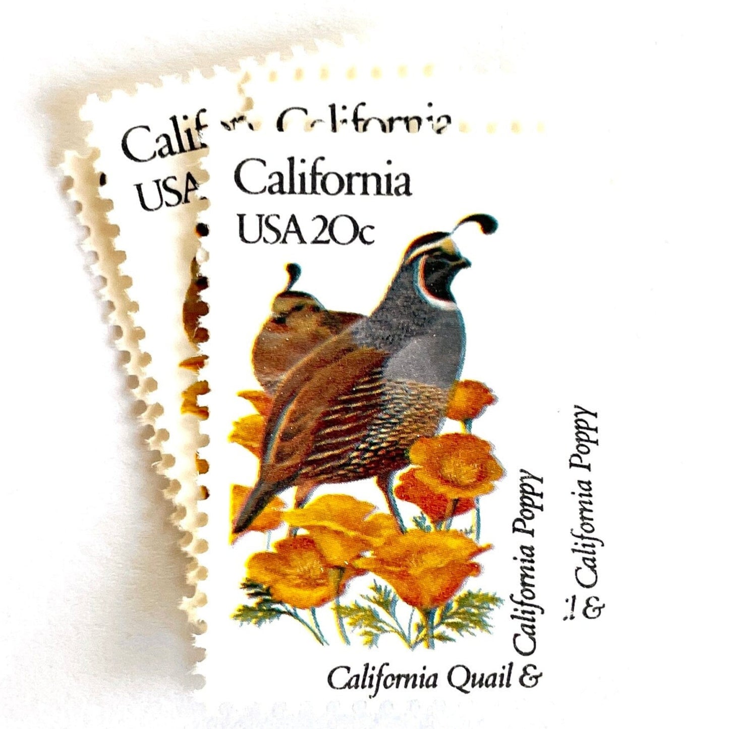 Image of California State Bird and Flower postage stamps from 1982, featuring a California Valley Quail and California Poppy on vintage unused 20-cent USPS postage, Scott 1957.