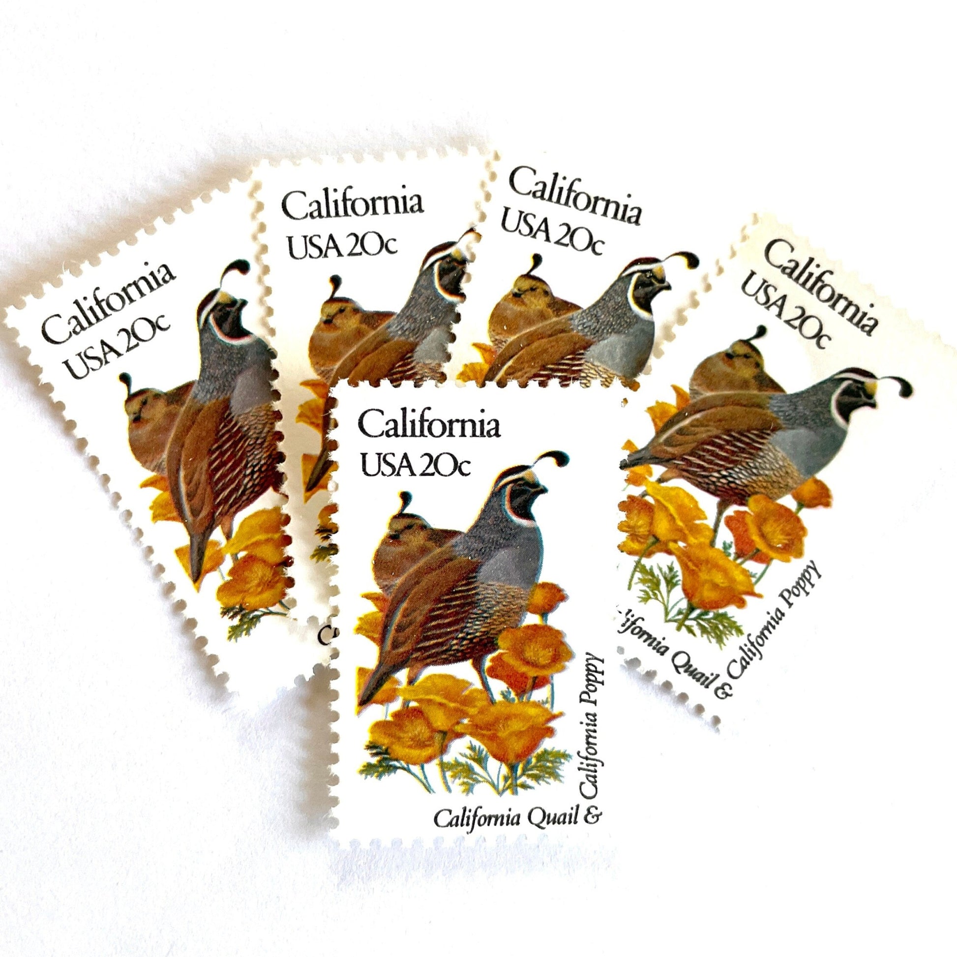 Image of California State Bird and Flower postage stamps from 1982, featuring a California Valley Quail and California Poppy on vintage unused 20-cent USPS postage, Scott 1957.