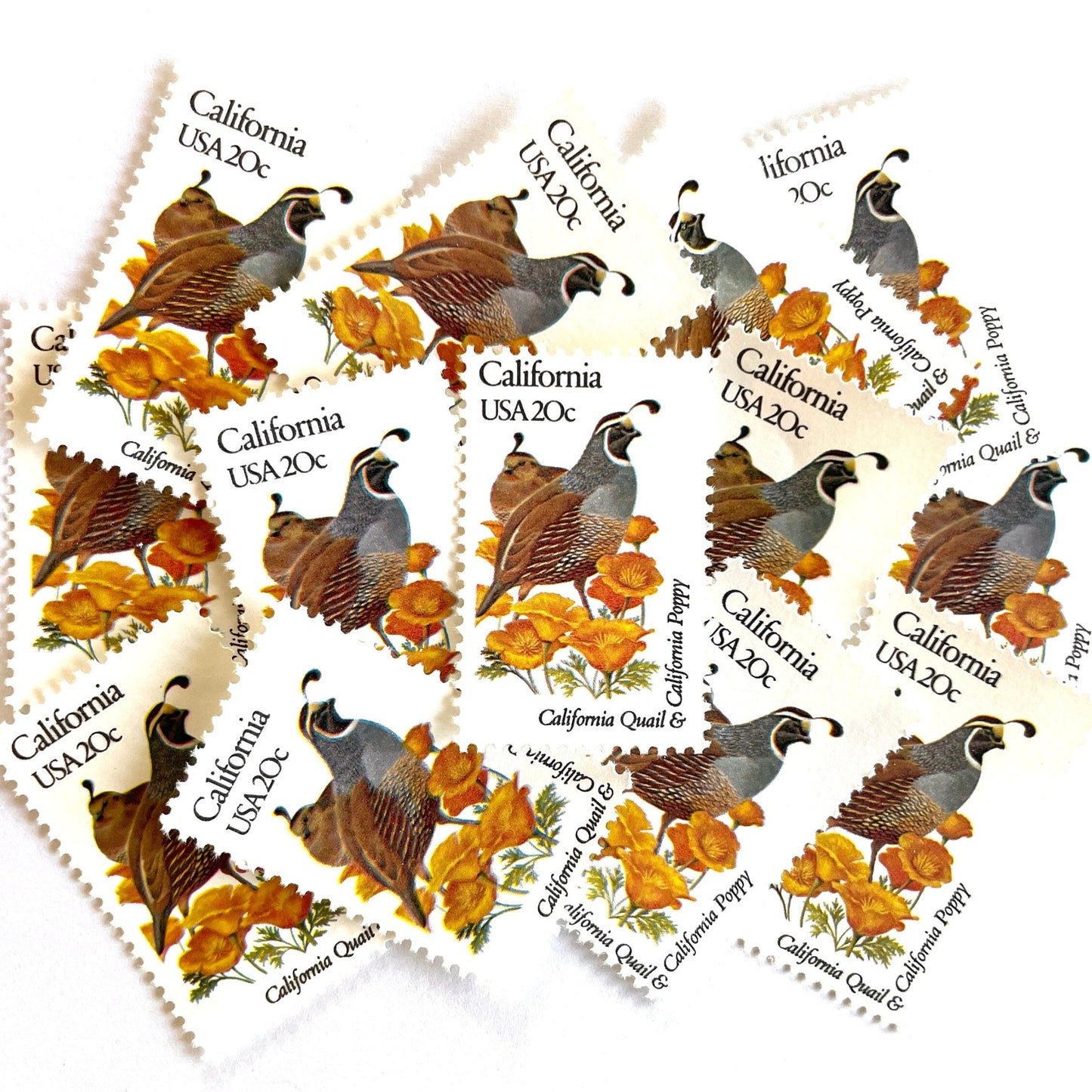 Image of California State Bird and Flower postage stamps from 1982, featuring a California Valley Quail and California Poppy on vintage unused 20-cent USPS postage, Scott 1957.